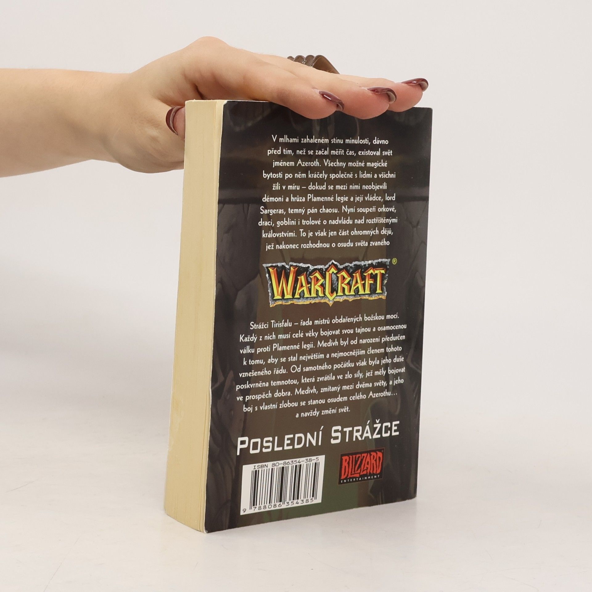 Jeff Grubb WarCraft. Poslední strážce. 3. díl