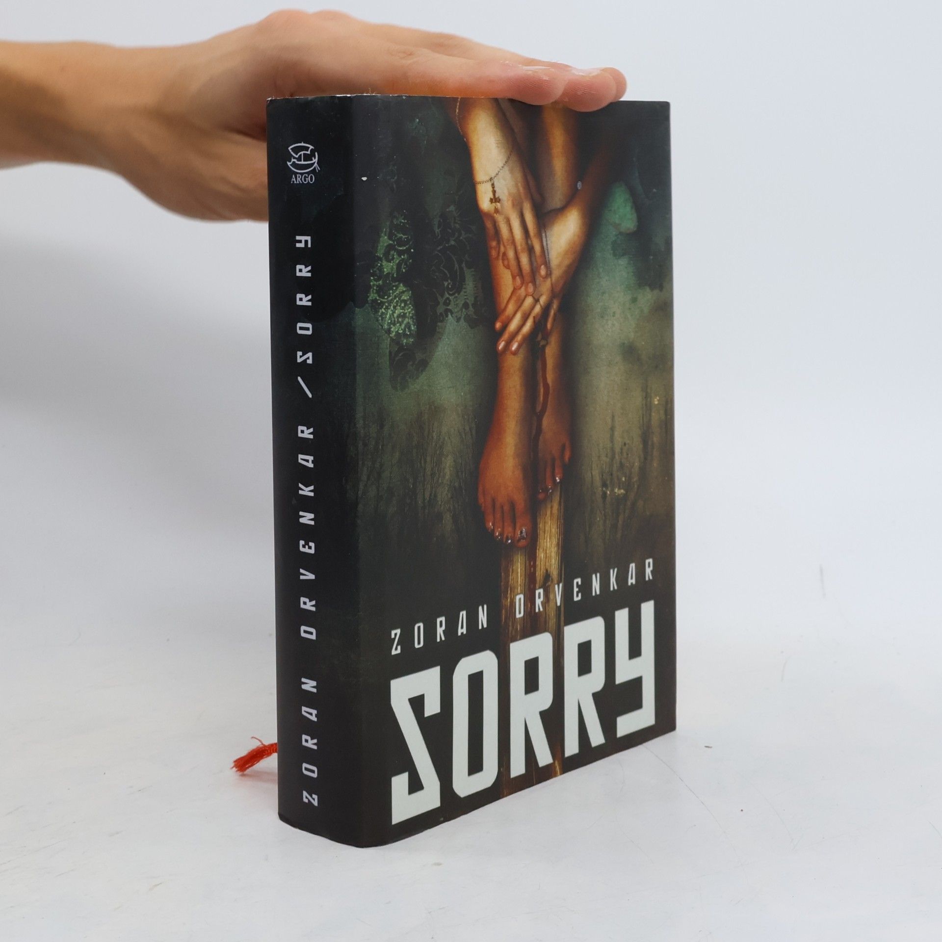Zoran Drvenkar Sorry