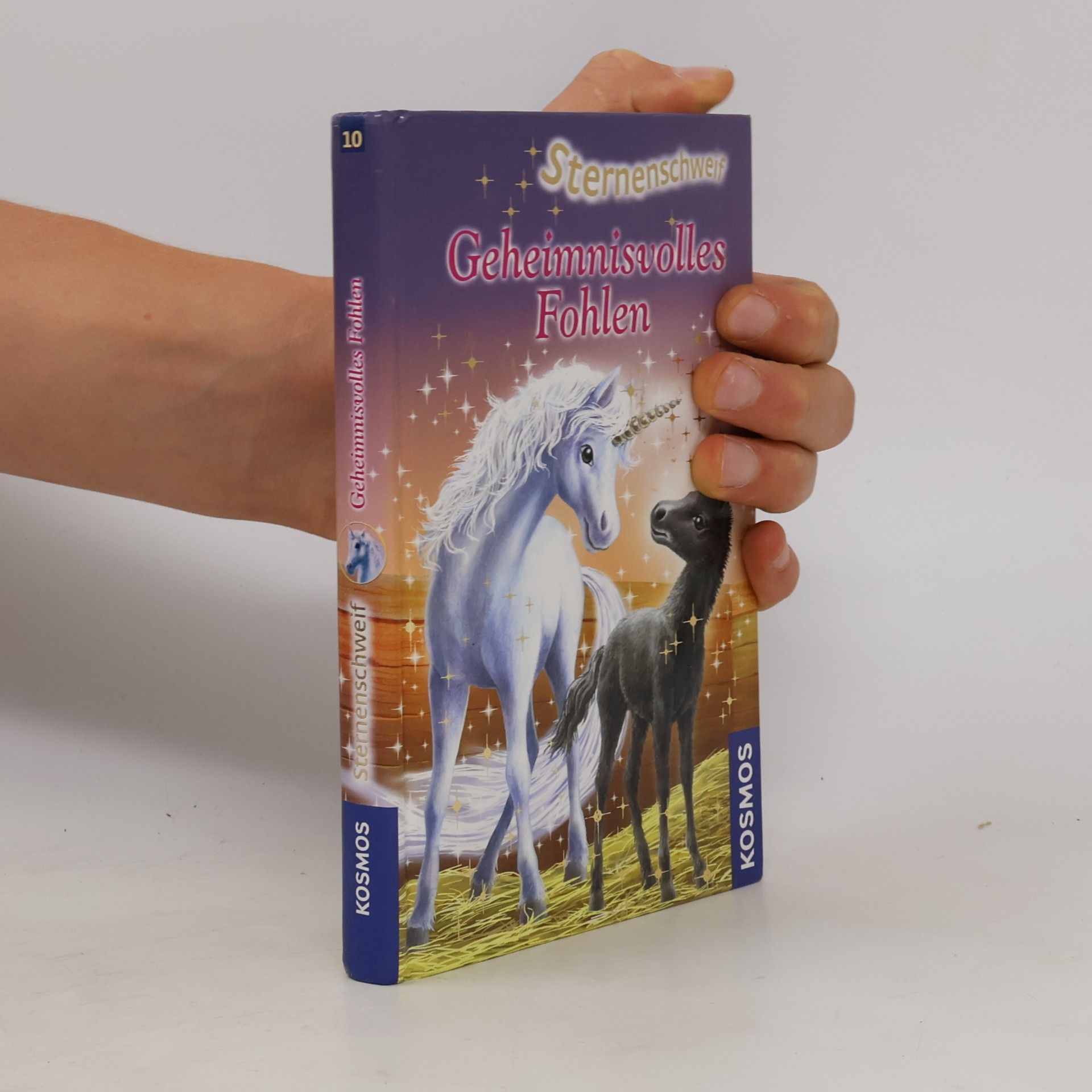 Linda Champan Sternenschweif : Geheimnisvolles Fohlen