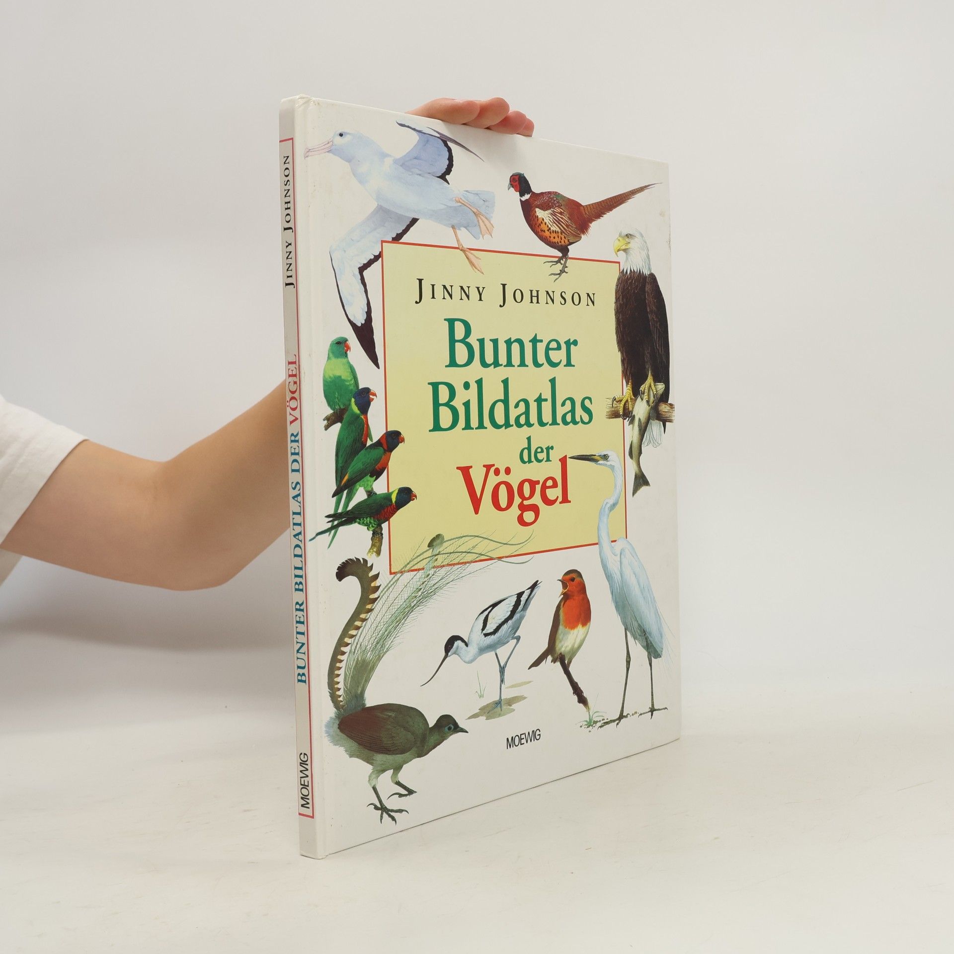 Jinny Johnson Bunter Bildatlas der Vögel