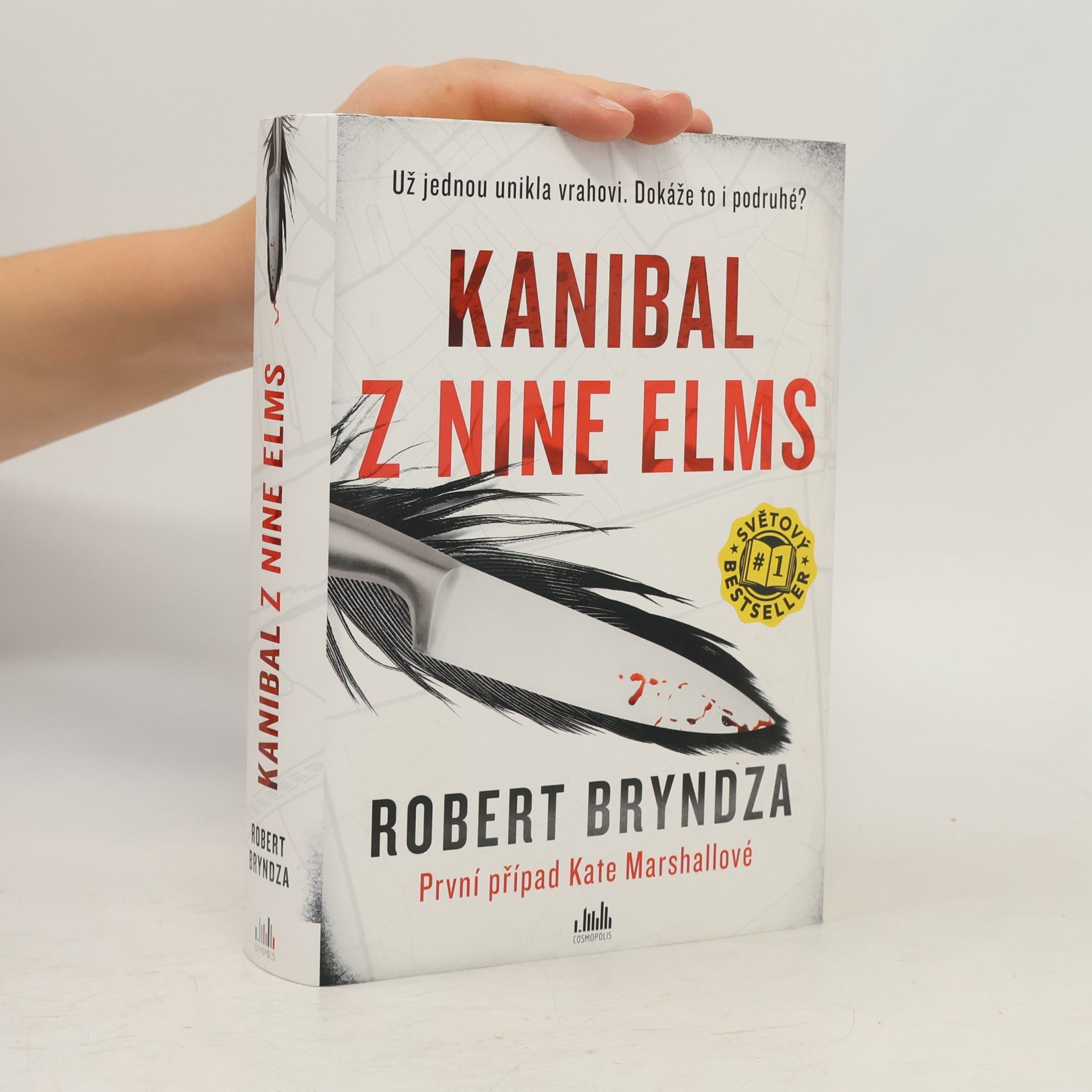 Robert Bryndza Kanibal z Nine Elms