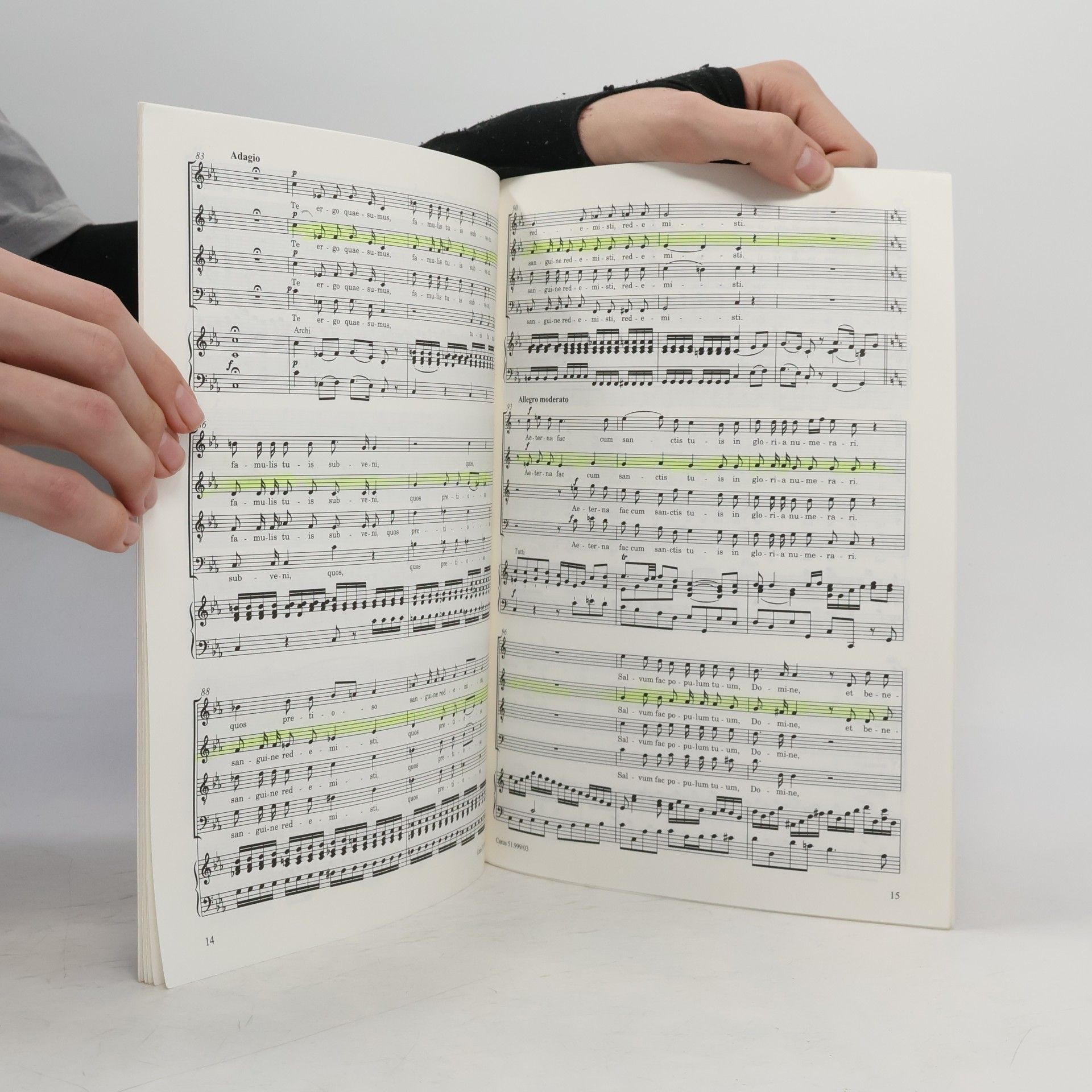 Joseph Haydn Te Deum