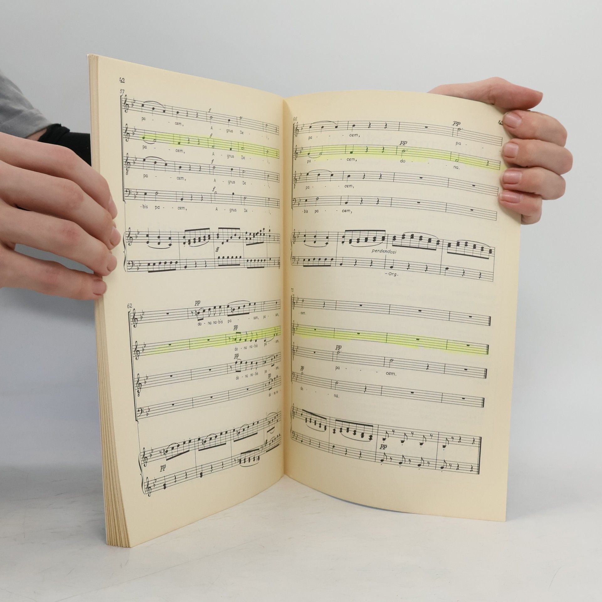 Haydn Missa brevis St. Joannis de Deo