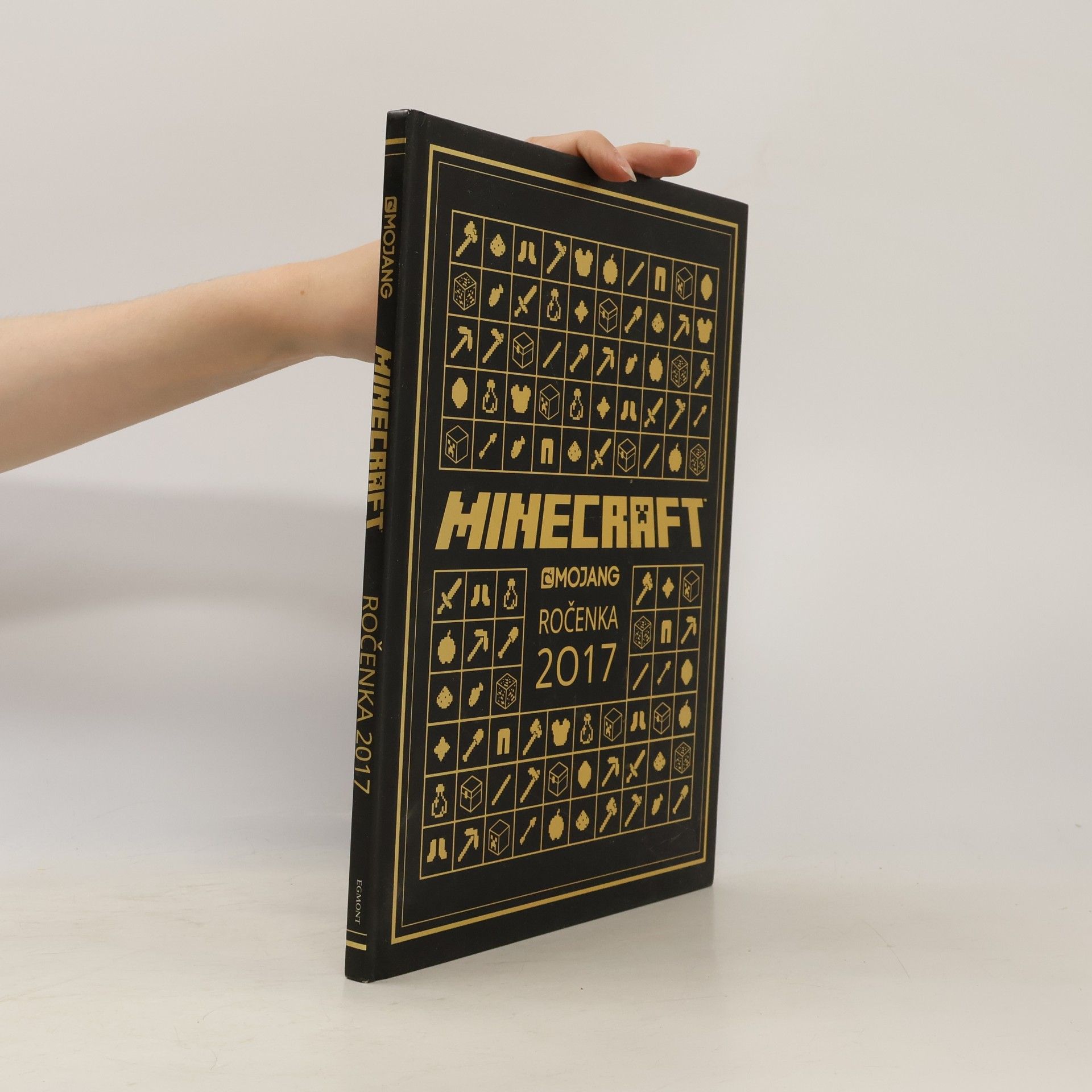 Minecraft : ročenka 2017