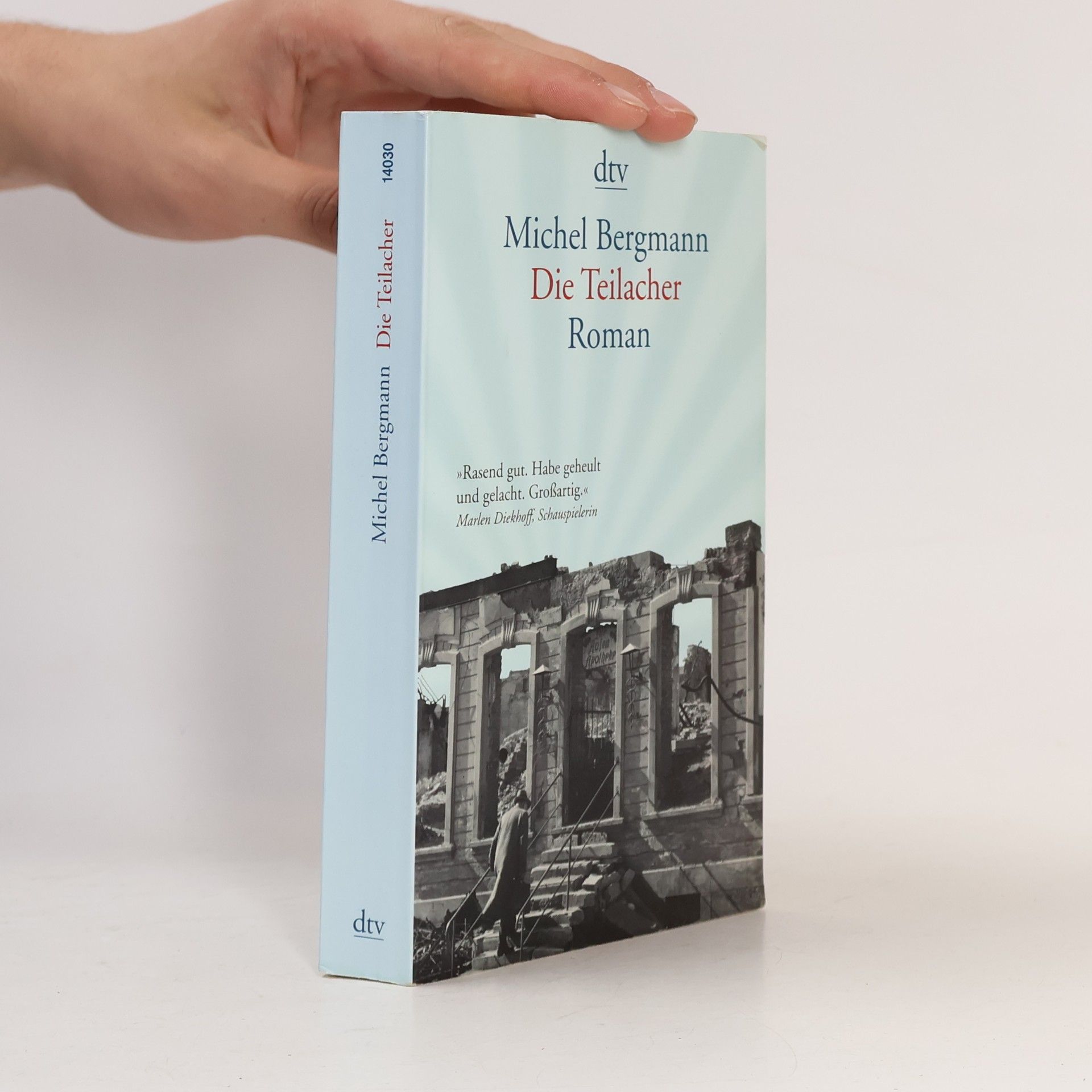 Michel Bergmann Die Teilacher
