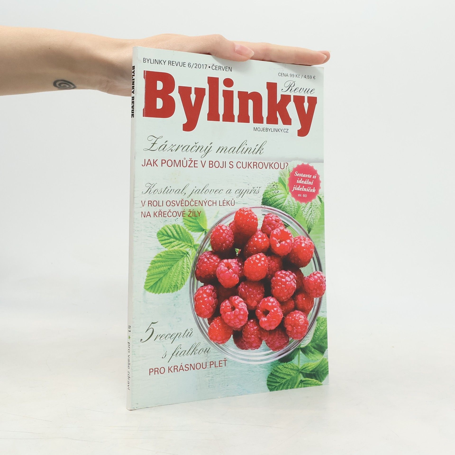 Collectif d'auteurs Bylinky Revue 6/2017