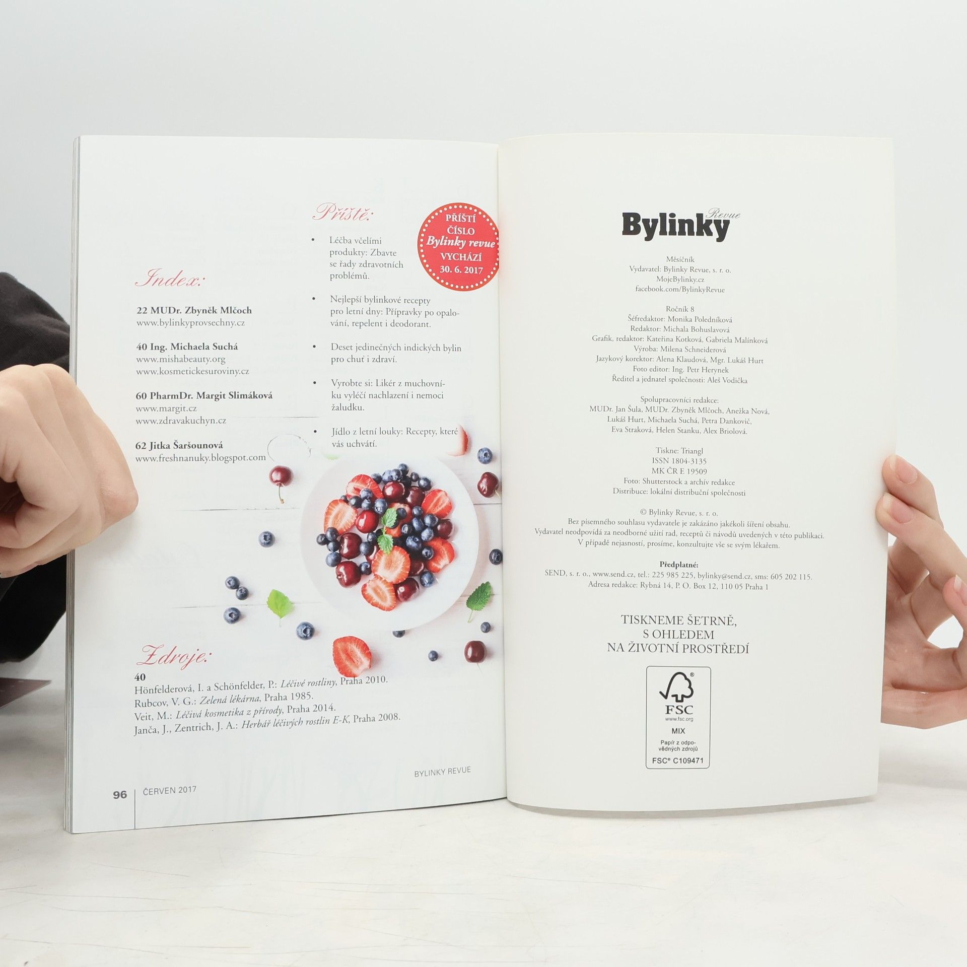 Autorenkollektiv Bylinky Revue 6/2017