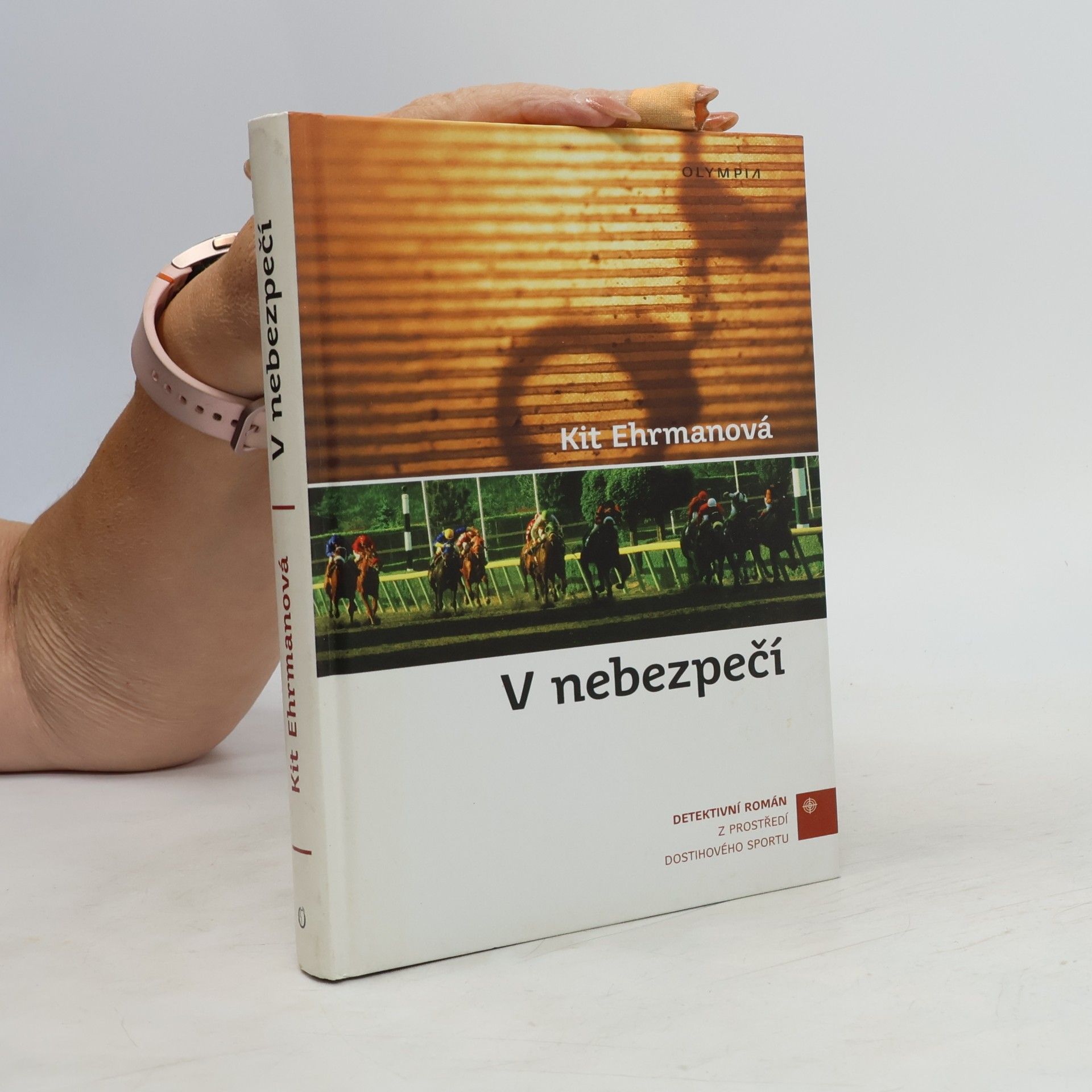 Kit Ehrman V nebezpečí