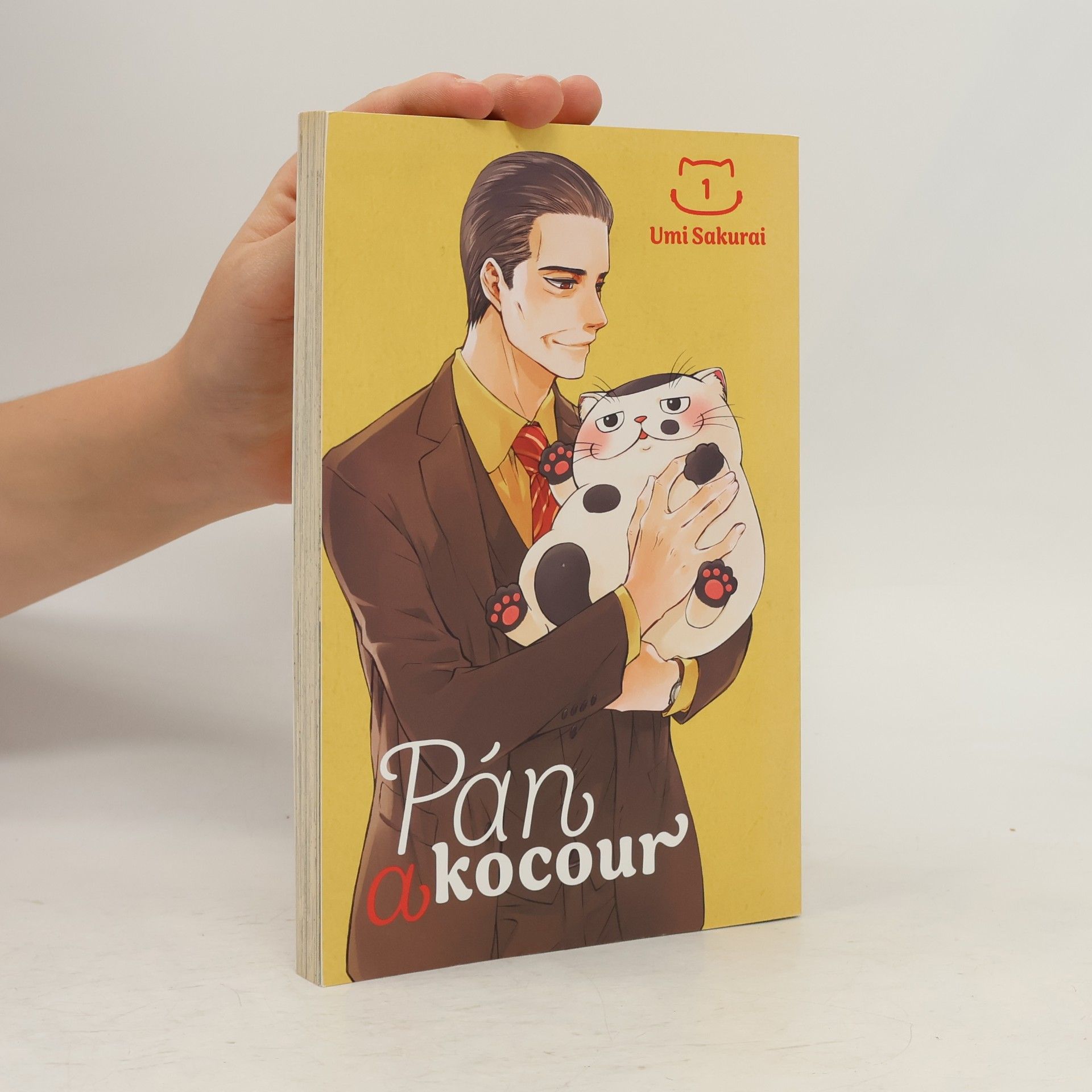 Umi Sakurai Pán a kocour 1