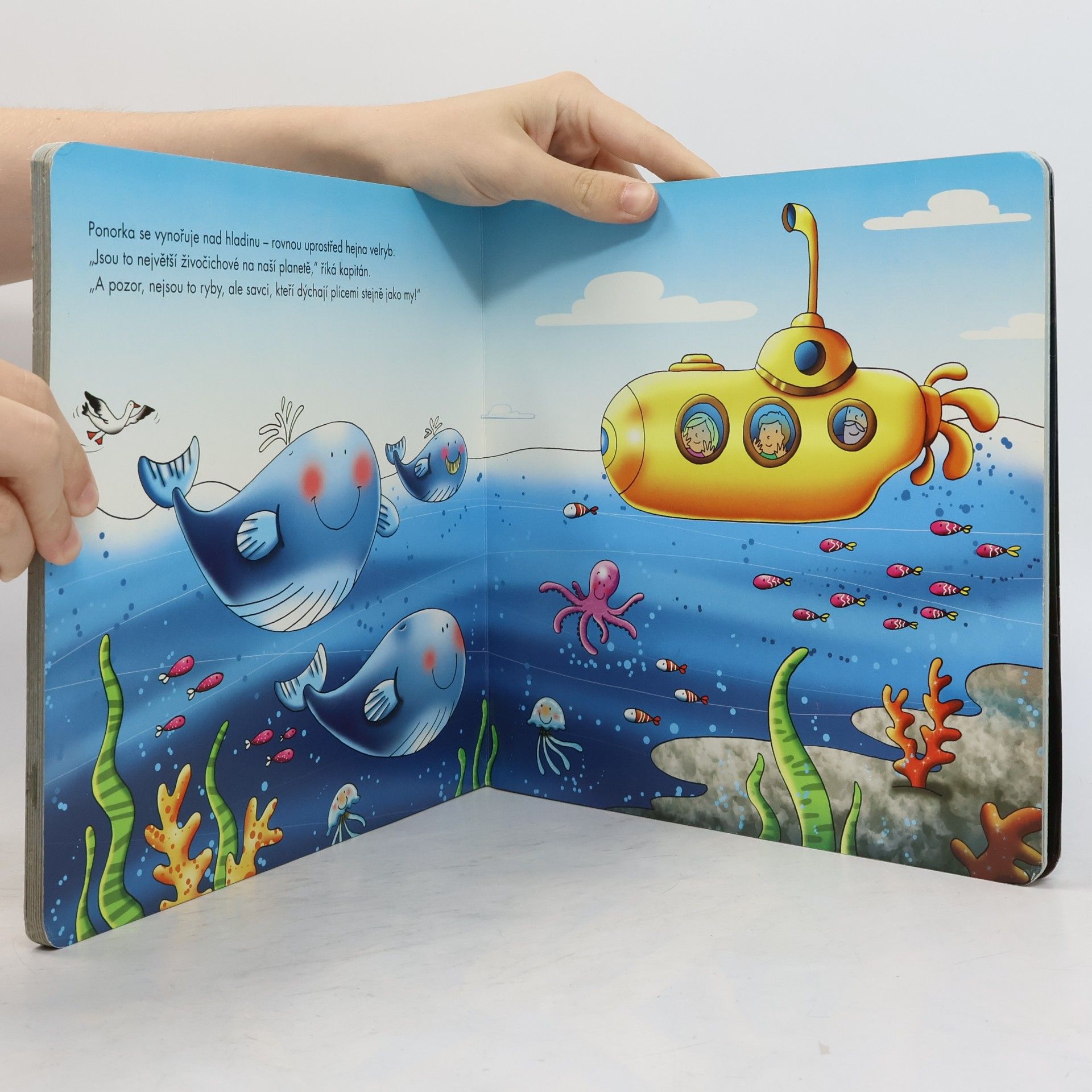 Autorenkollektiv Dobrodružná výprava. Pod hladinou oceánu