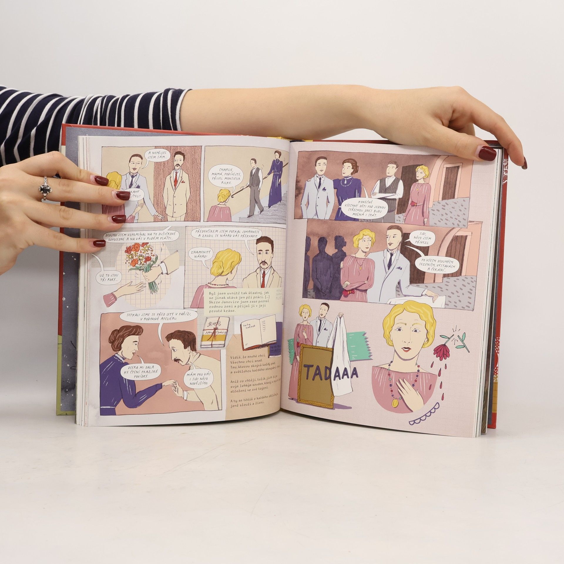 Tereza Srbová Sidonie : komiksový román