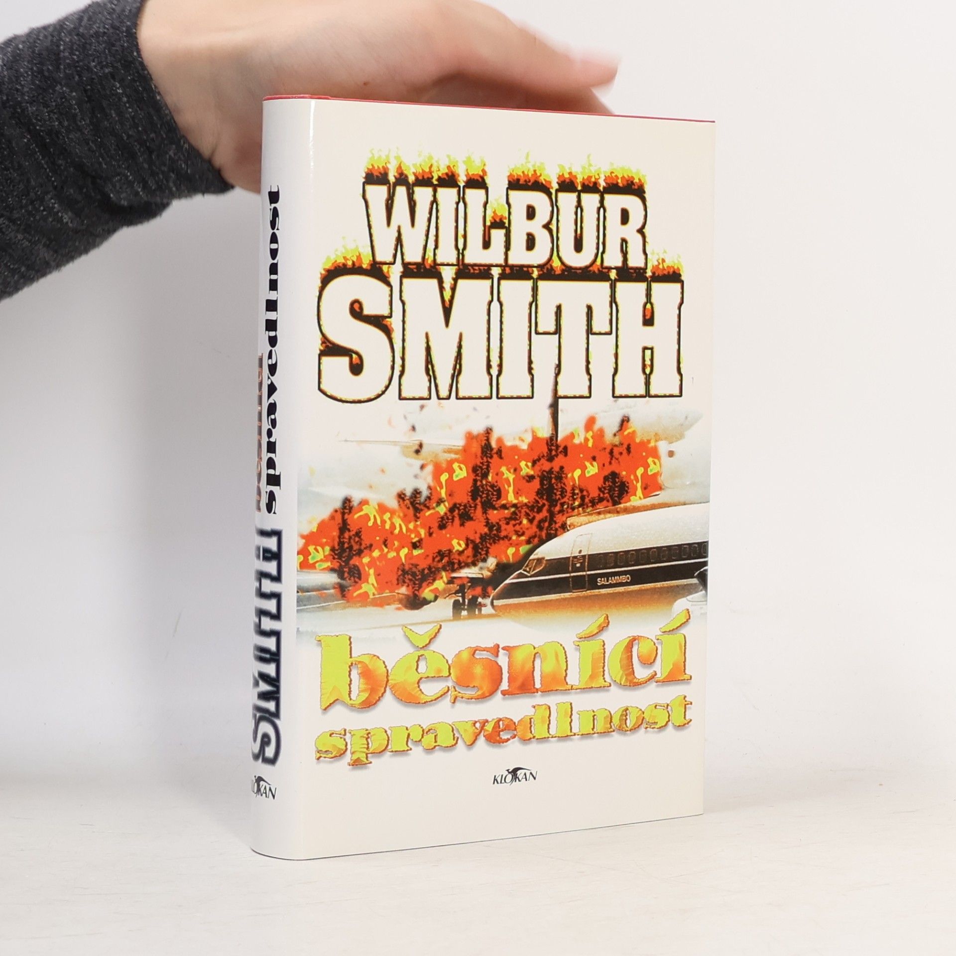 Wilbur Smith Běsnící spravedlnost