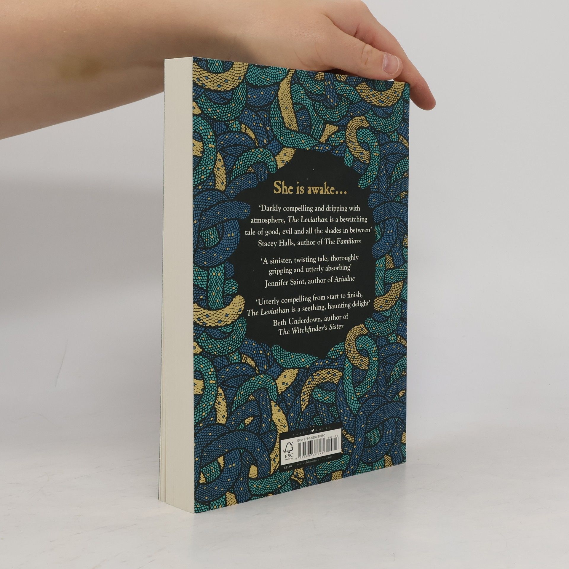 Rosie Andrews The Leviathan