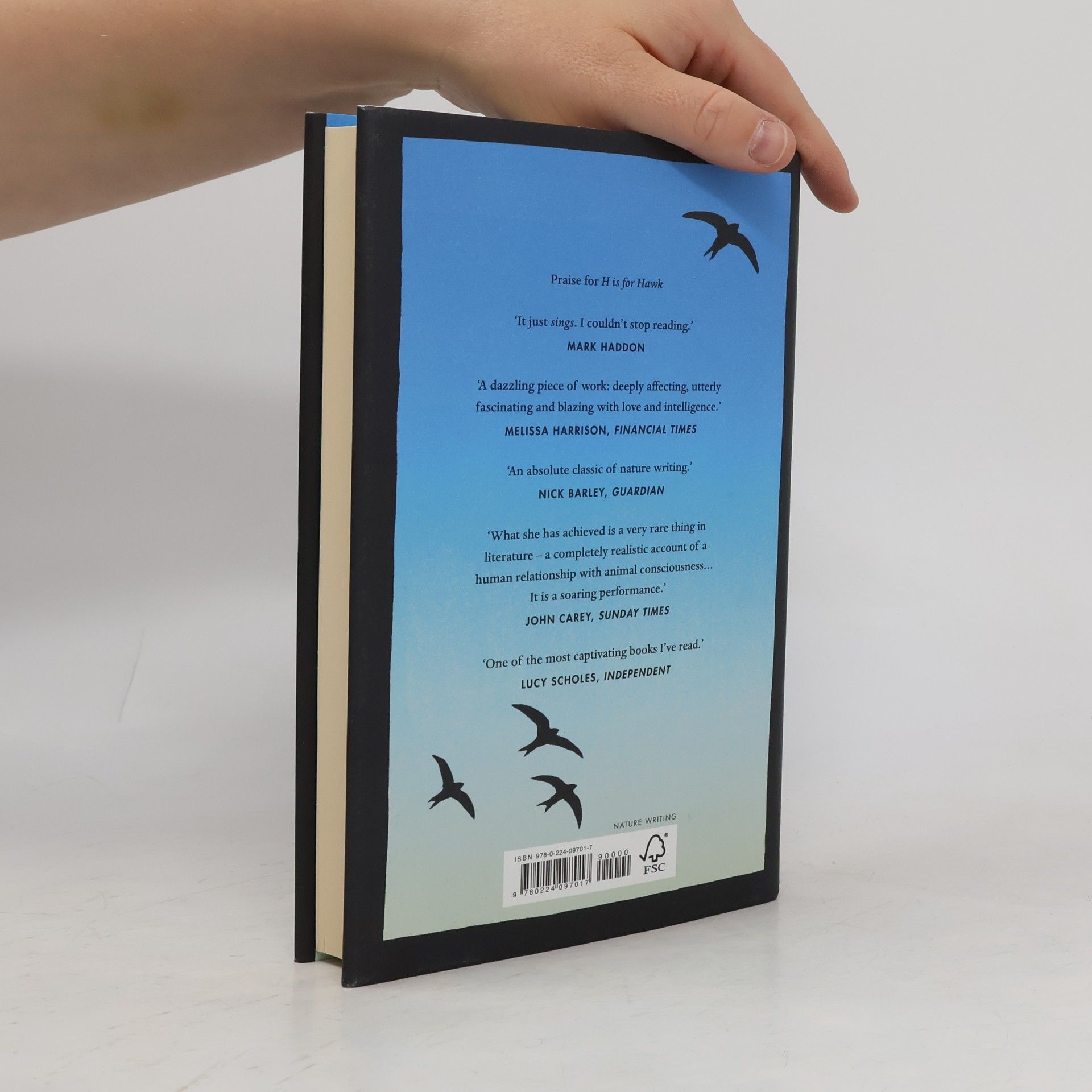 Helen Macdonald Vesper Flights