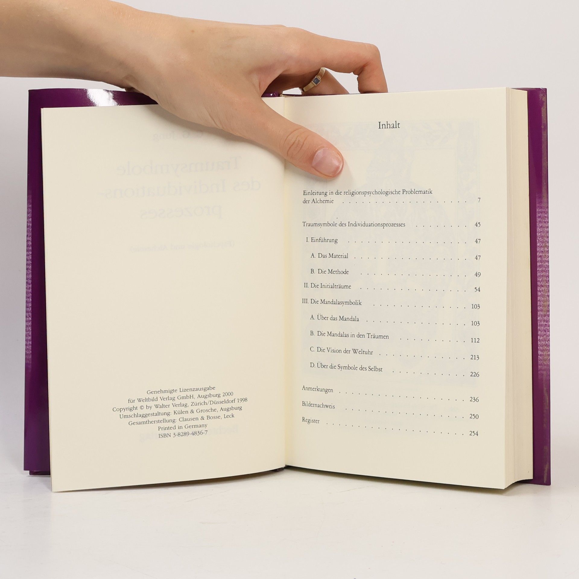 Carl Gustav Jung Traumsymbole des Individuationsprozesses