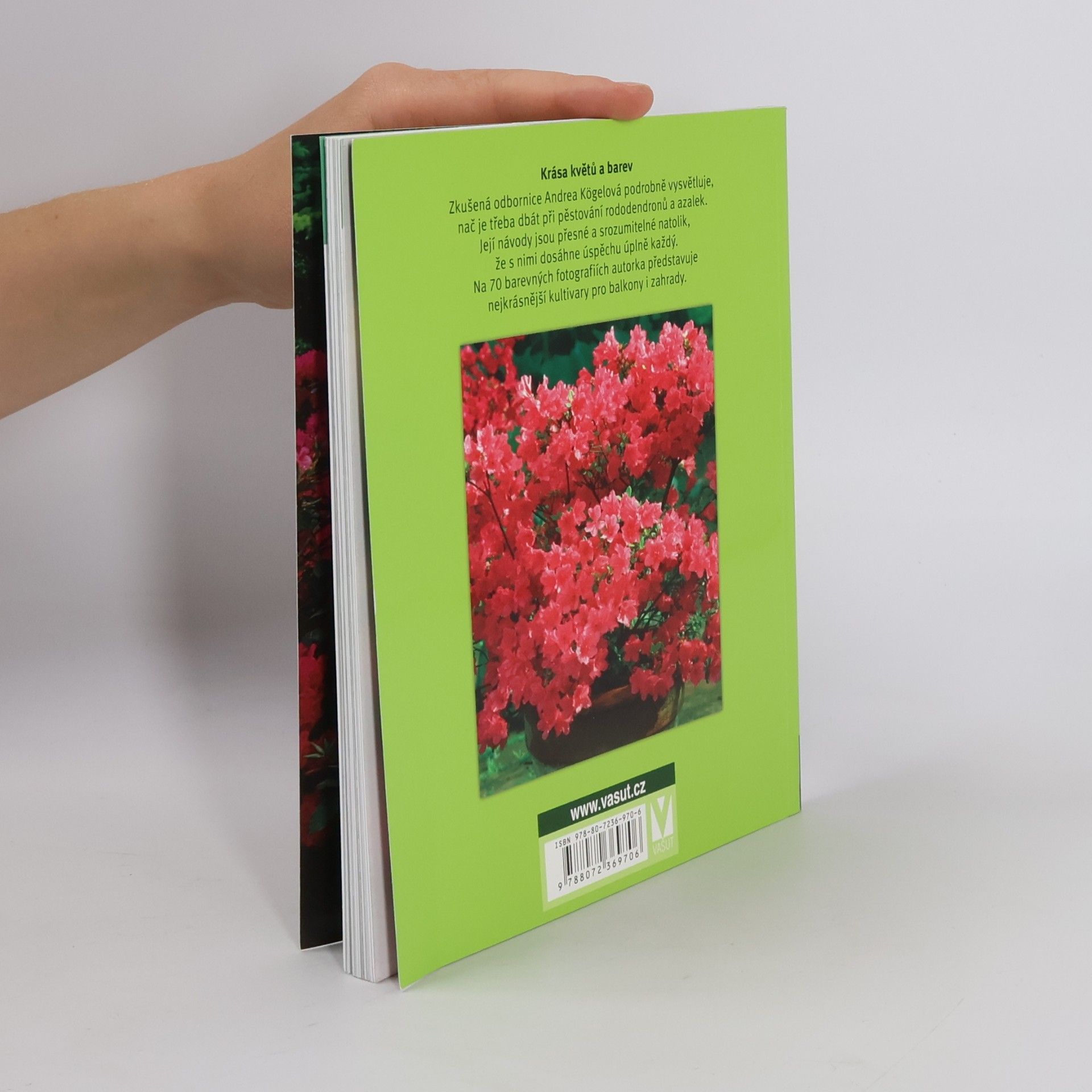 Andrea Kögel Rododendrony a azalky pro zahrady, balkony a terasy