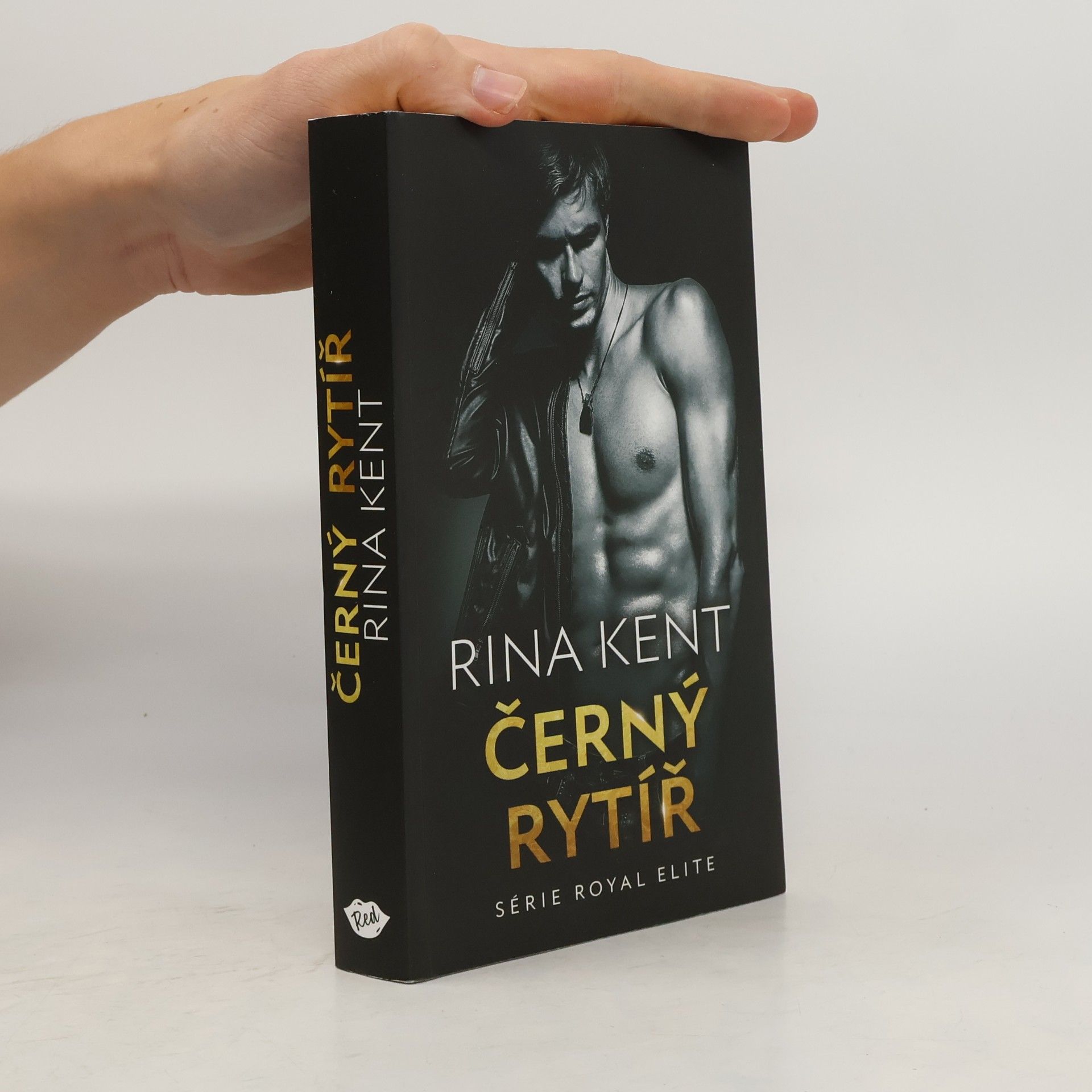 Rina Kent Černý rytíř