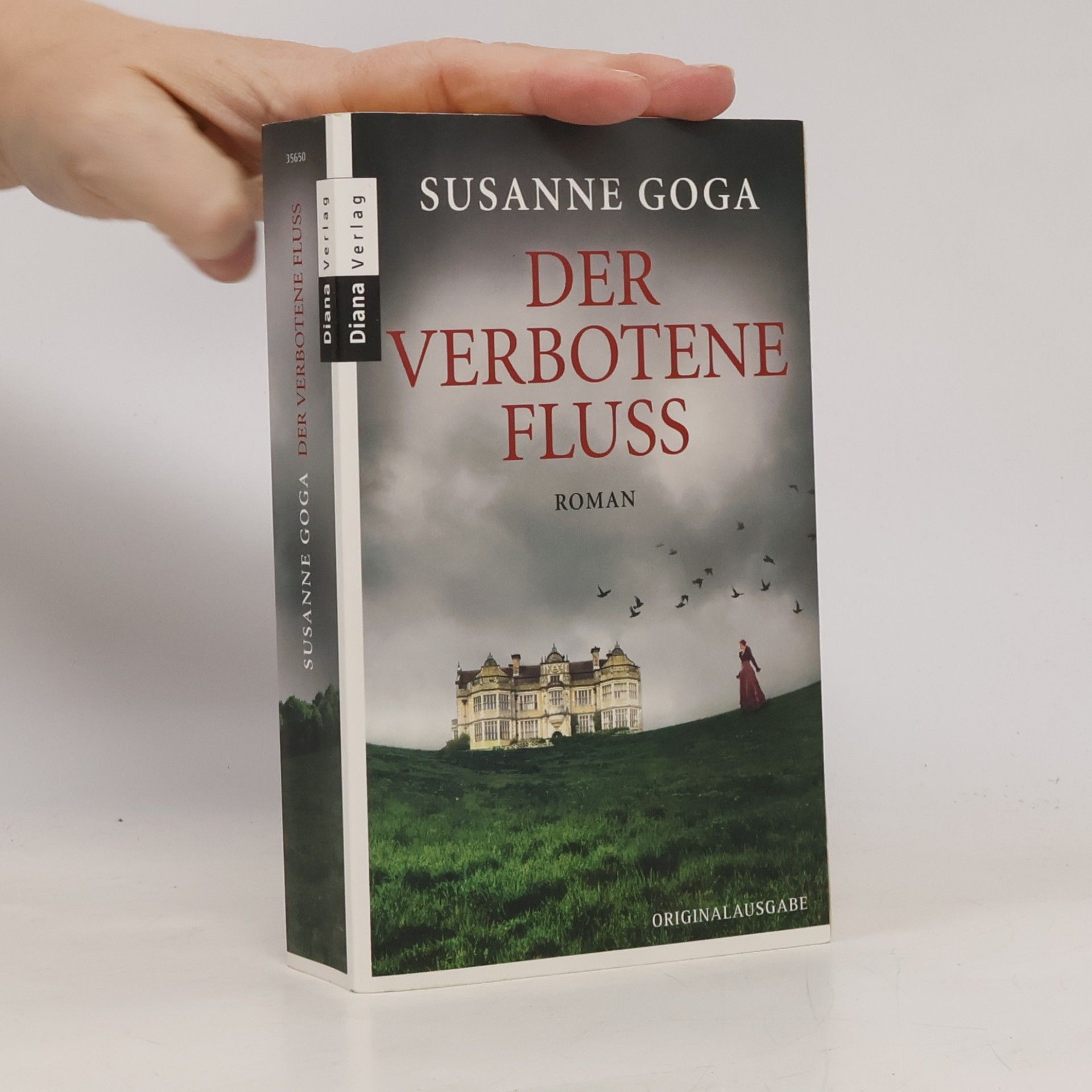Susanne Goga Der verbotene Fluss