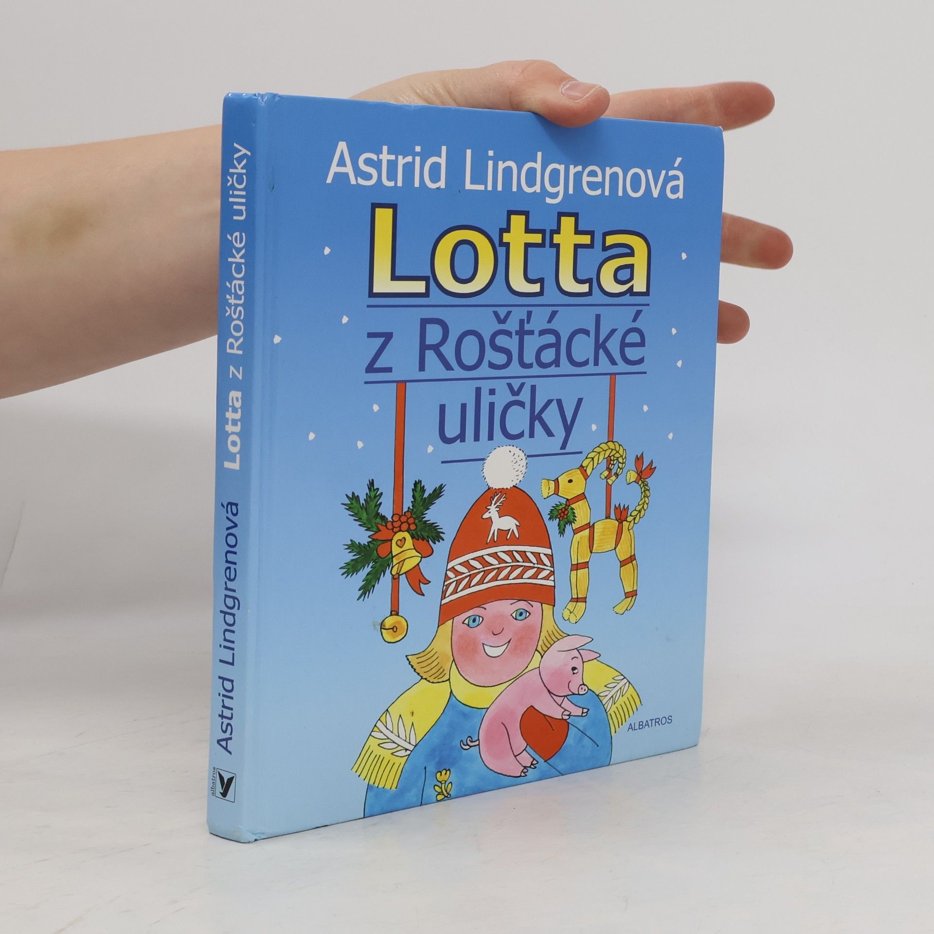 Lotta z Rošťácké uličky