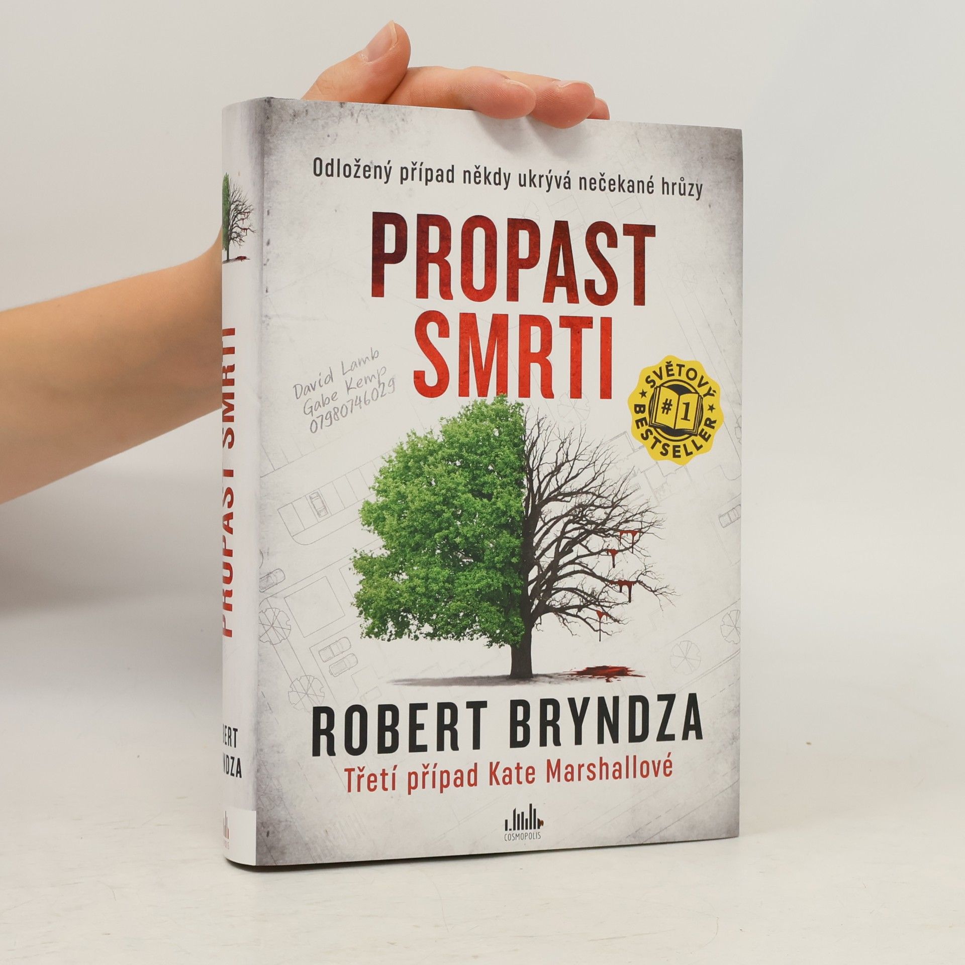 Robert Bryndza Propast smrti