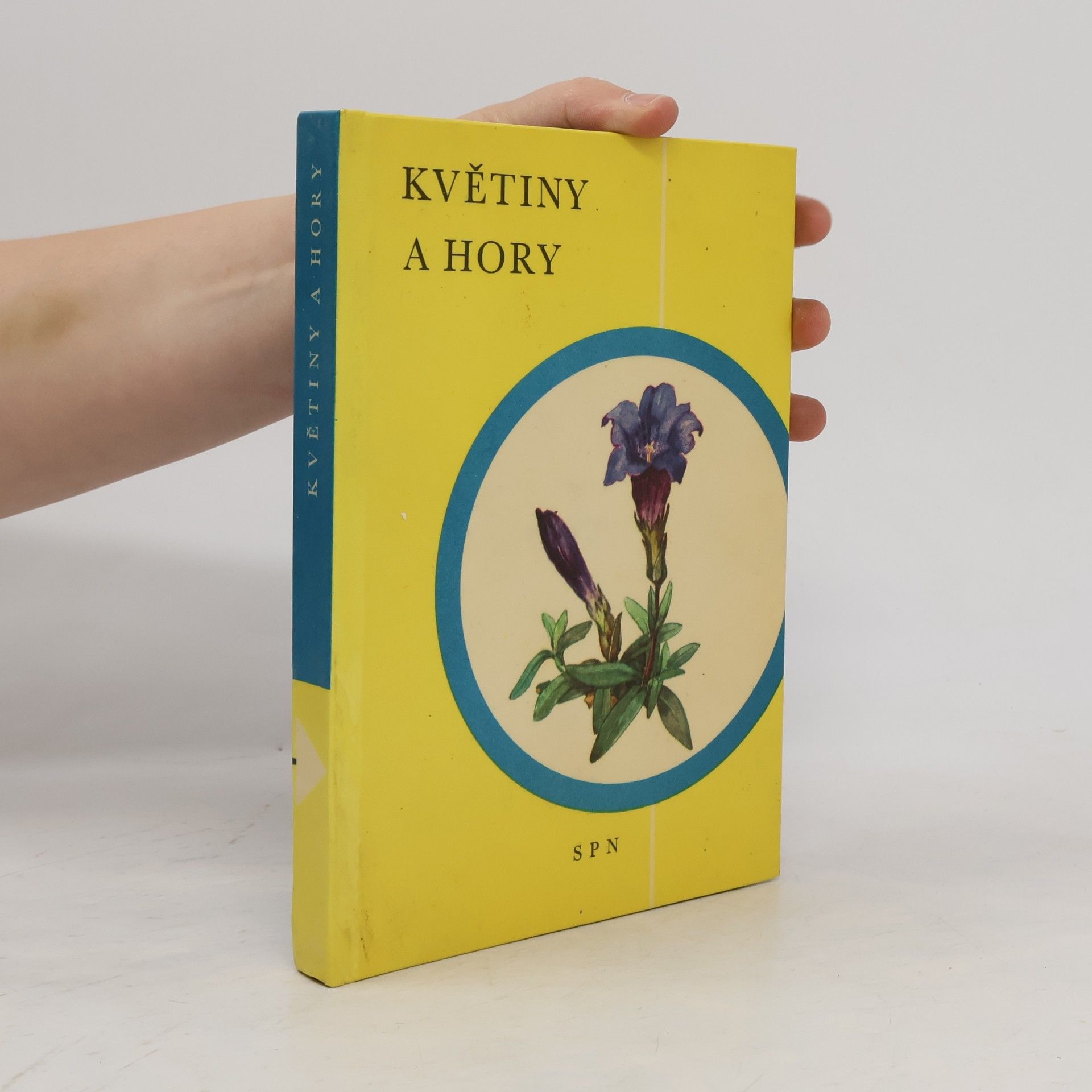 Anna Kavinová Květiny a hory