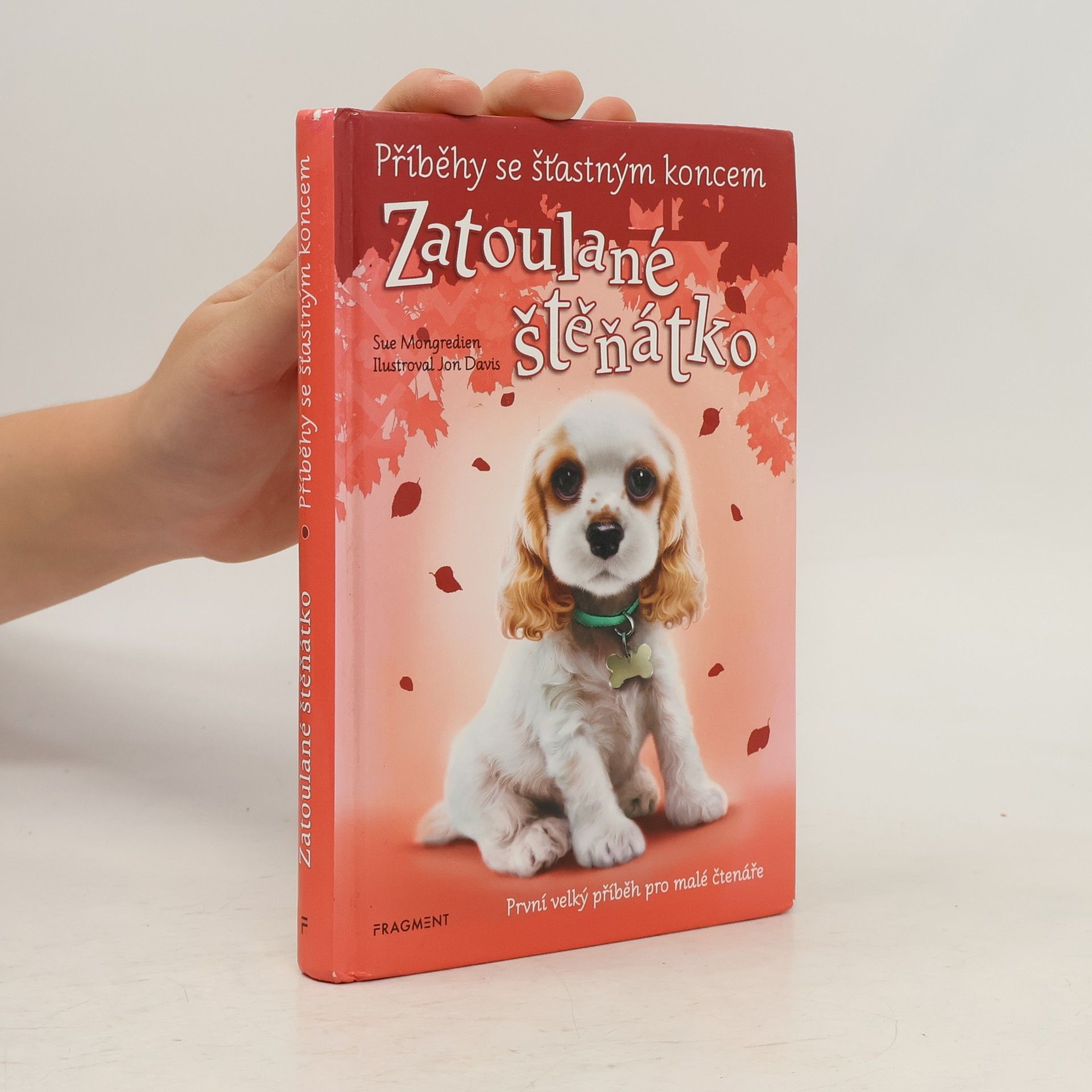 Lucy Diamond Zatoulané štěňátko