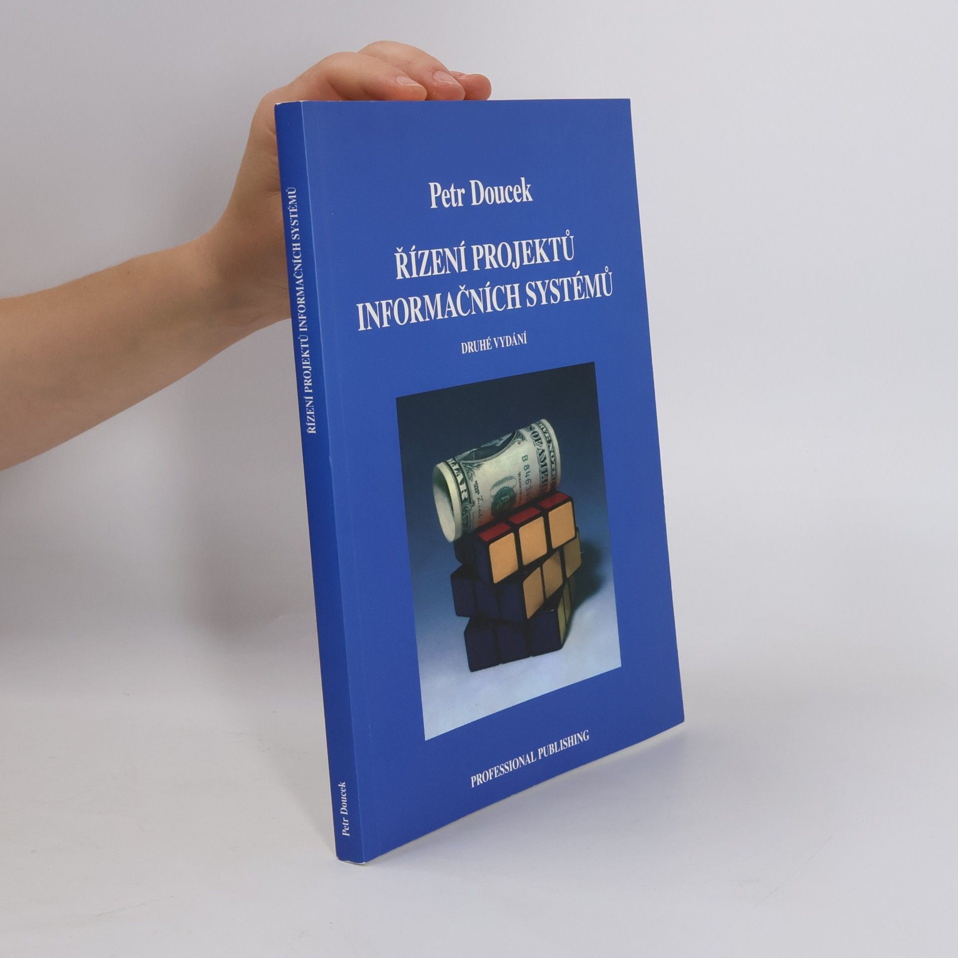 Petr Doucek Řízení projektů informačních systémů