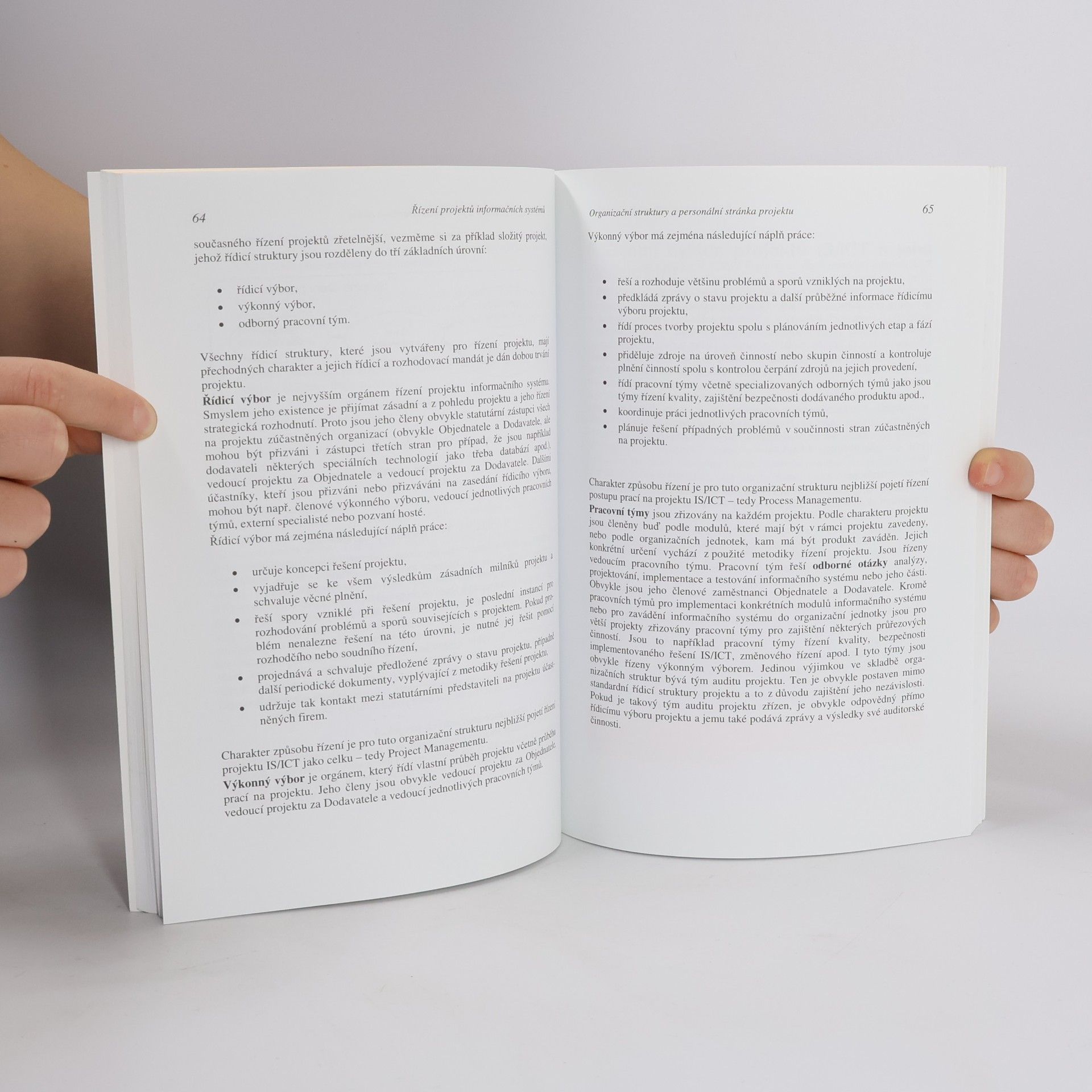 Petr Doucek Řízení projektů informačních systémů