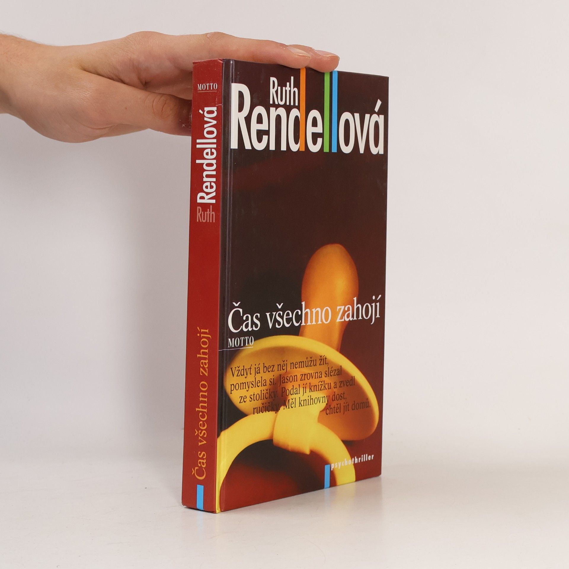 Ruth Rendell Čas všechno zahojí