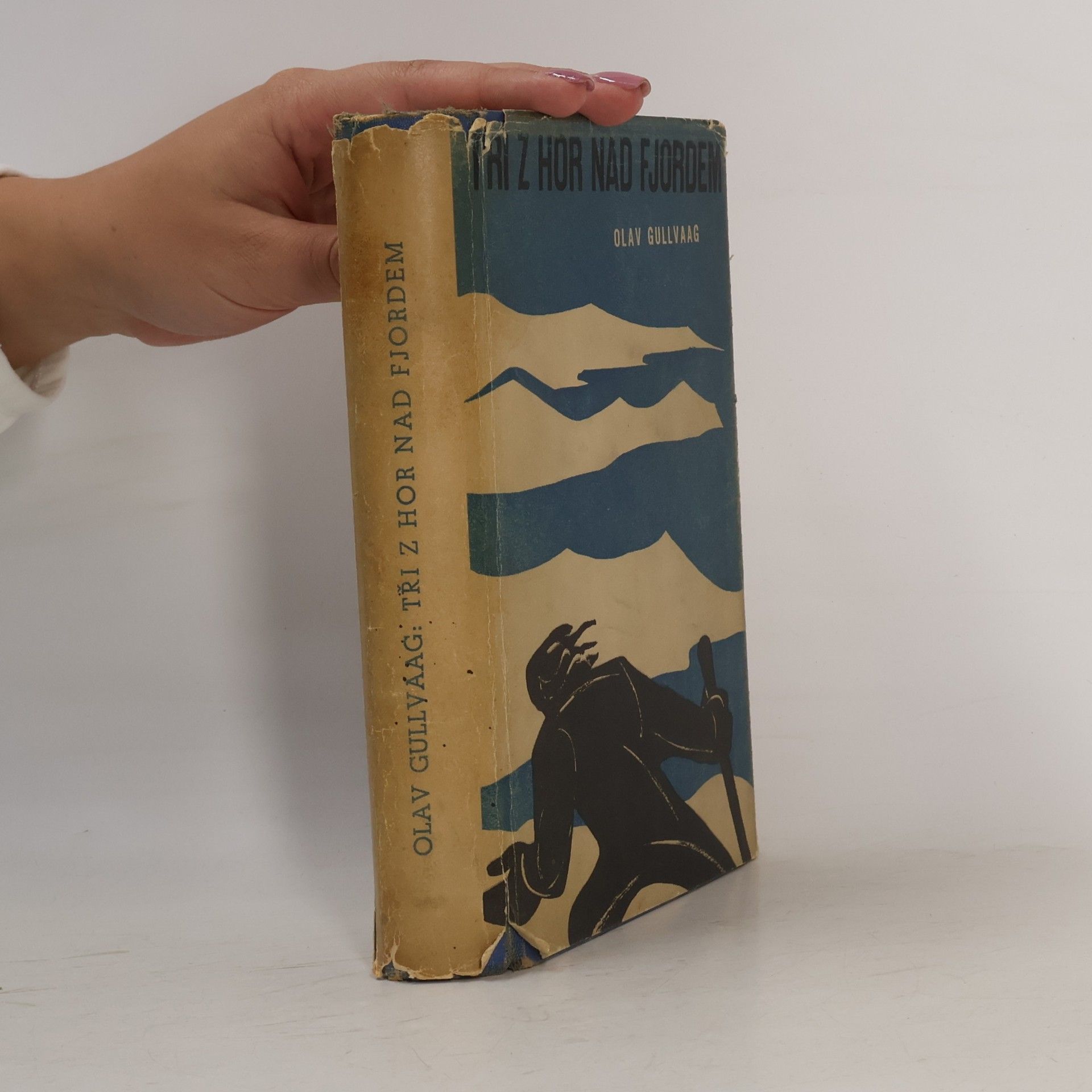 Tři z hor nad fjordem