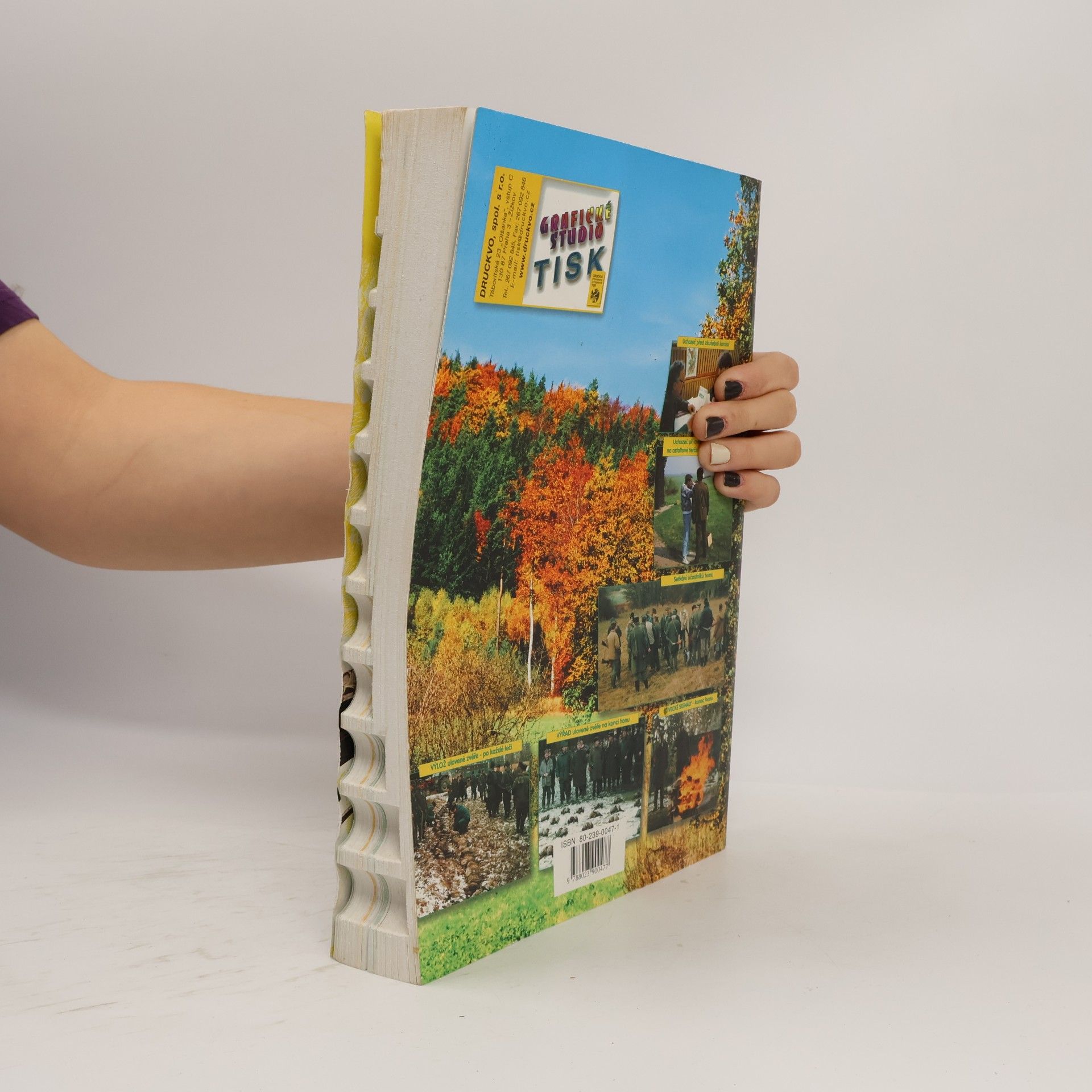 Autorenkollektiv Penzum: základy znalostí z myslivosti