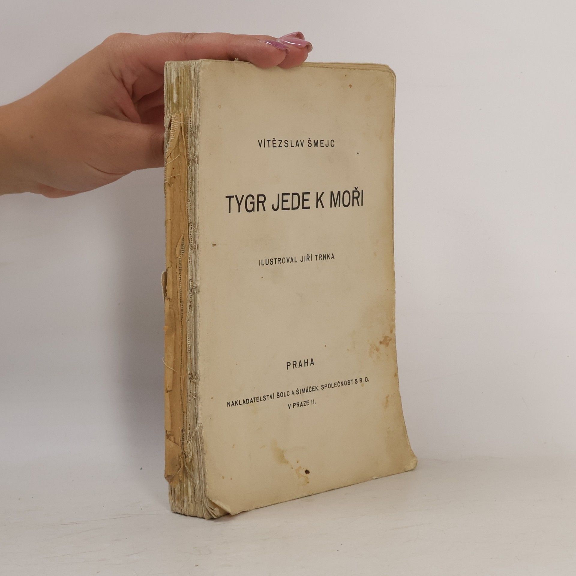 Vítězslav Šmejc Tygr jede k moři