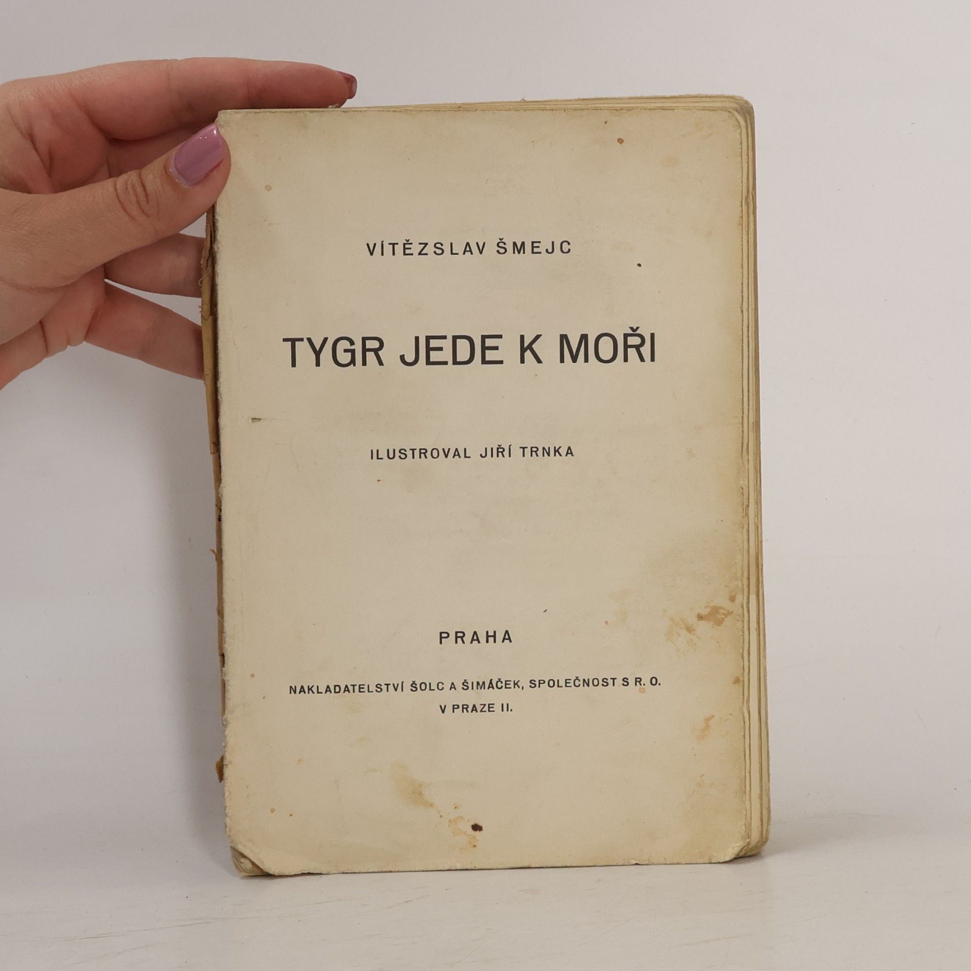 Vítězslav Šmejc Tygr jede k moři