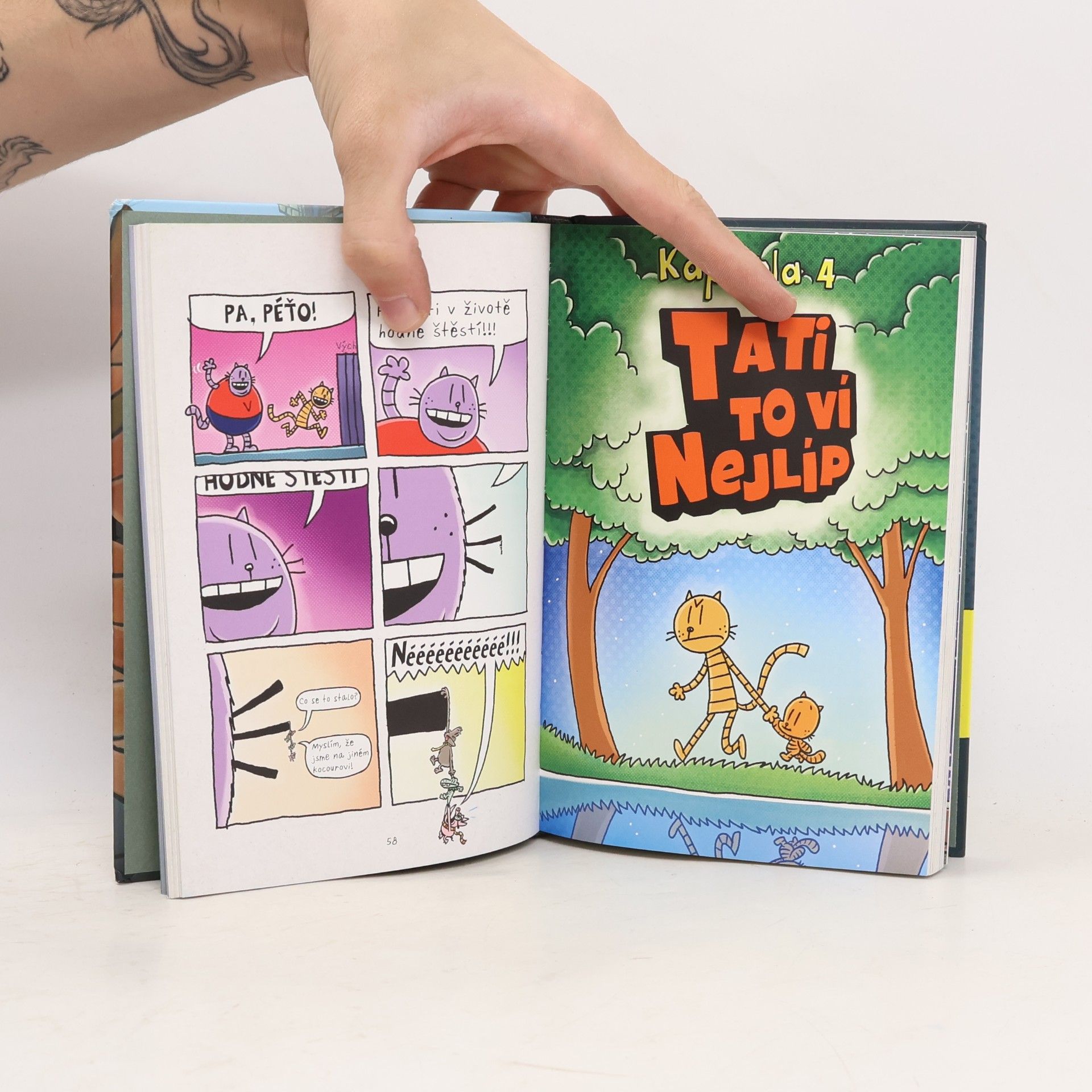 Dav Pilkey Dogman: Komu letí meruna