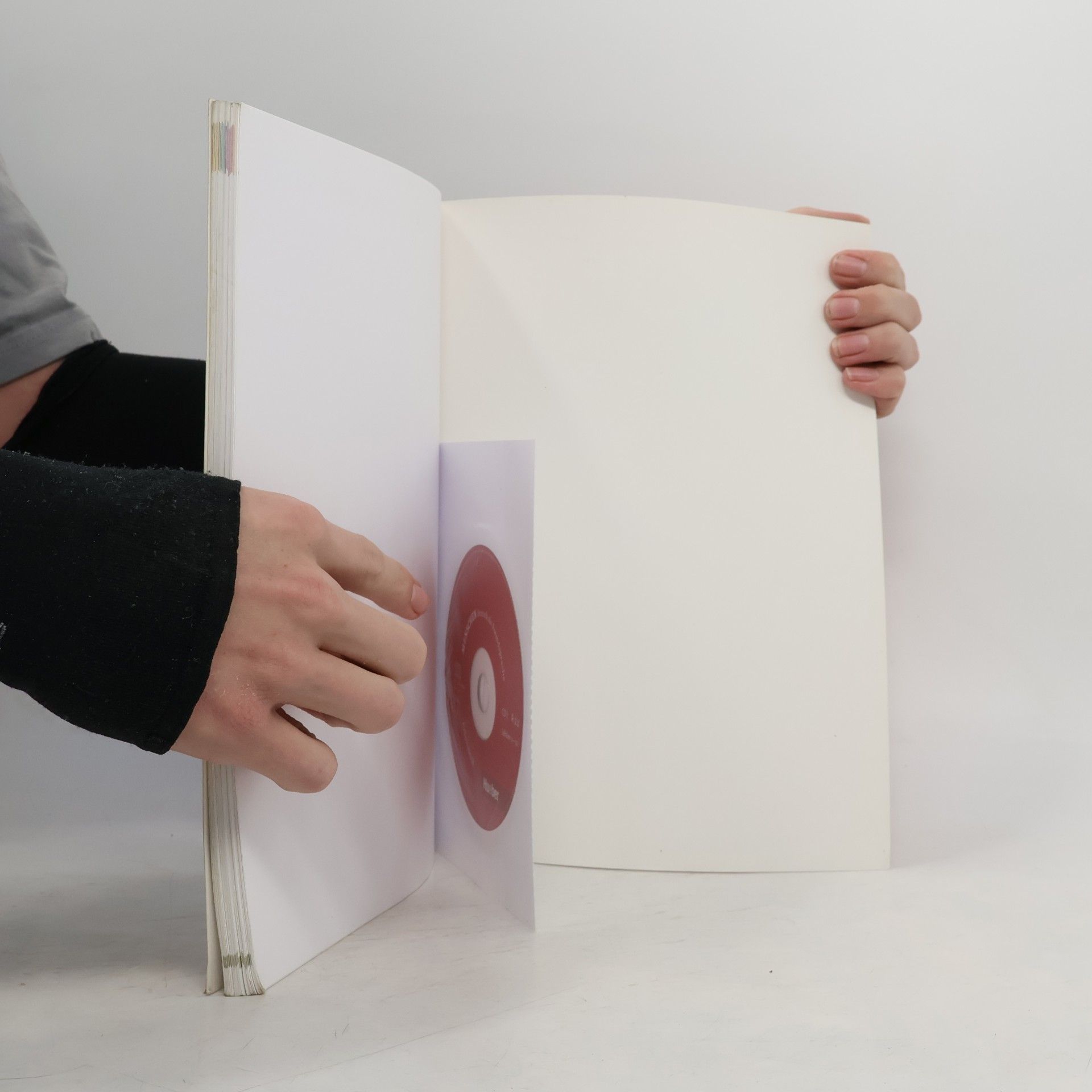 Anna Breitsameter Menschen A2.1 : Arbeitsbuch