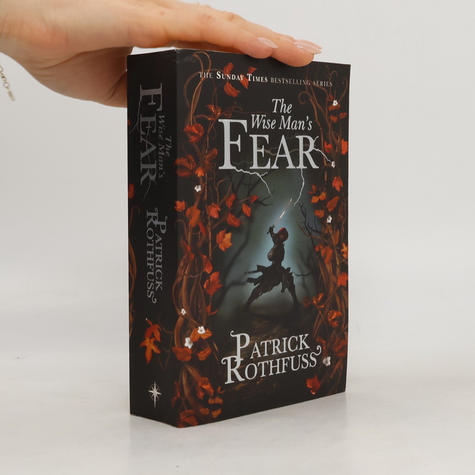 Patrick Rothfuss The Wise Man's Fear