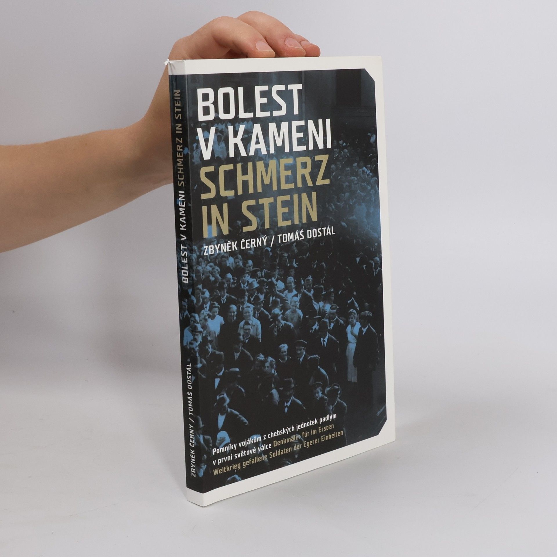 Zbyněk Černý Bolest v kameni. Schmerz in Stein