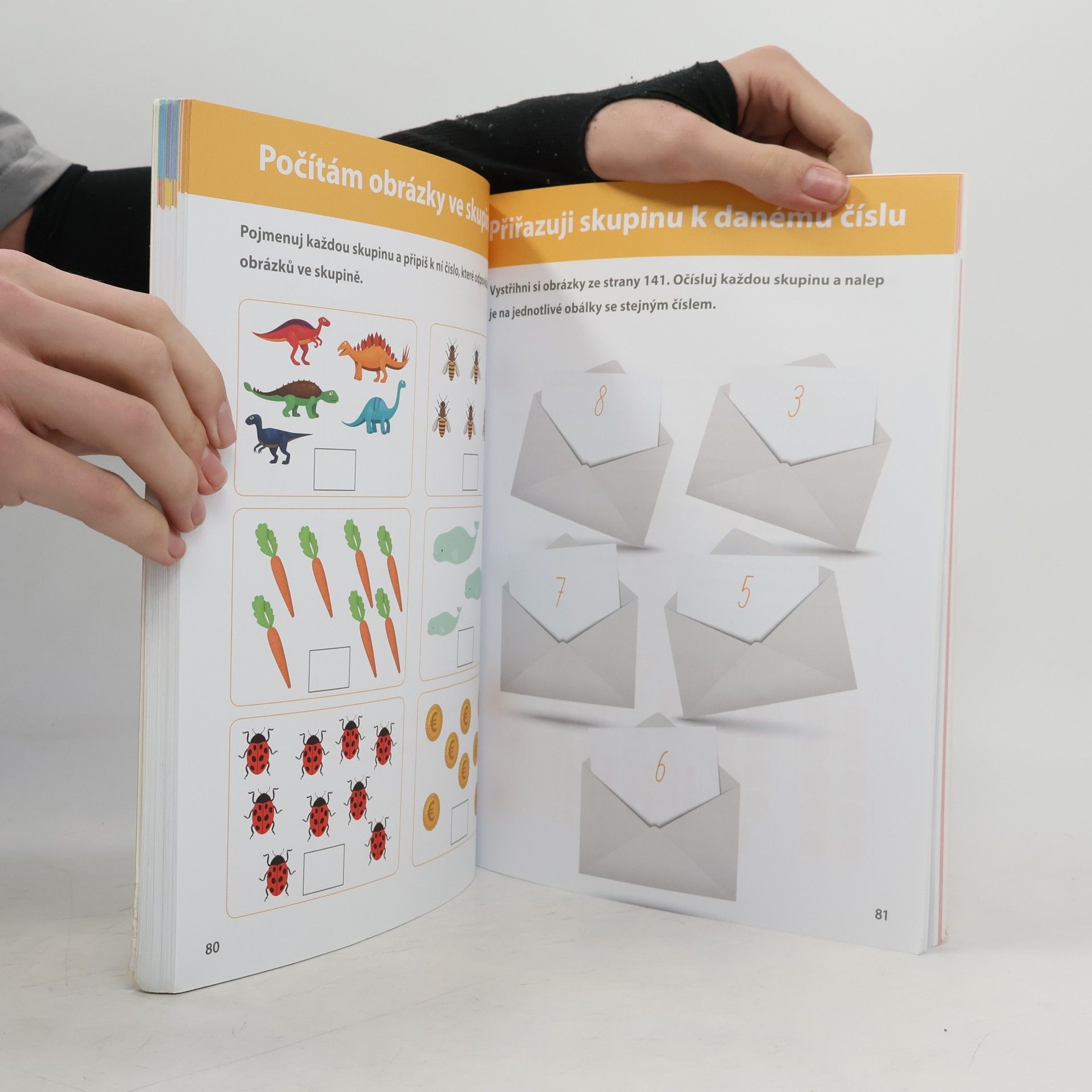 Delphine Urvoy Můj velký sešit Montessori - matematika