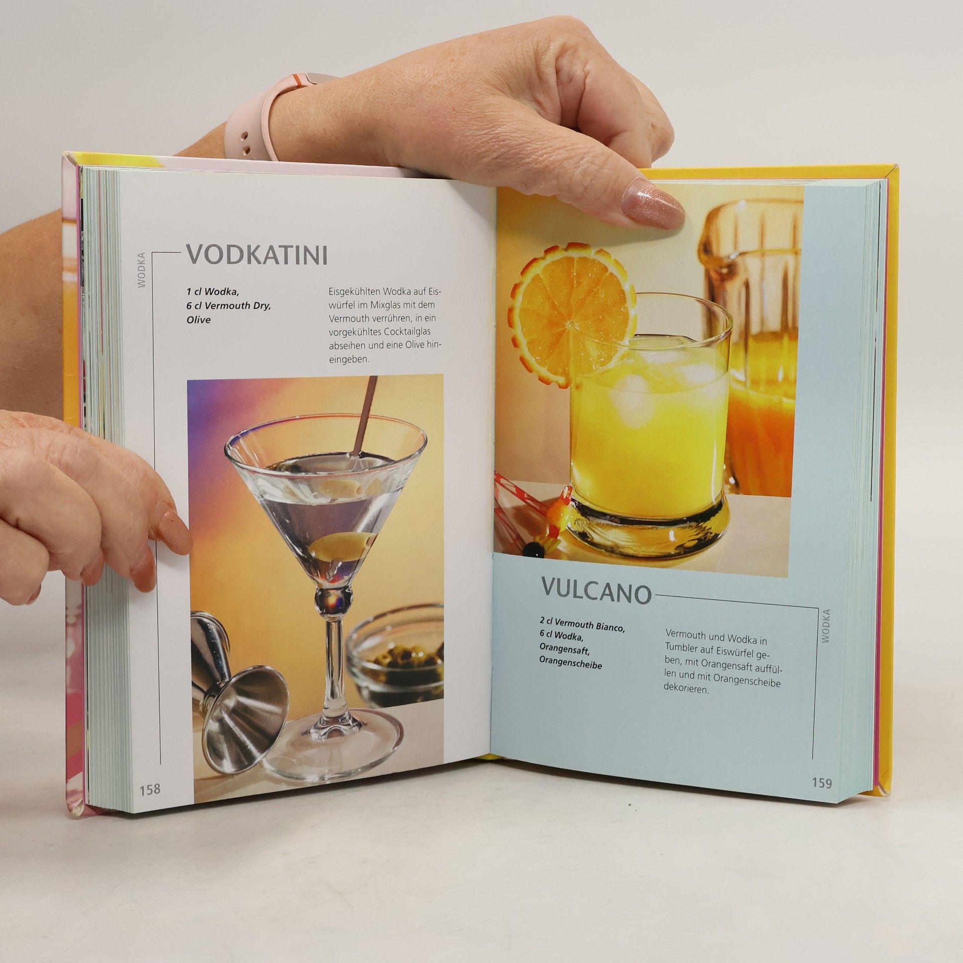 Handbuch Cocktails
