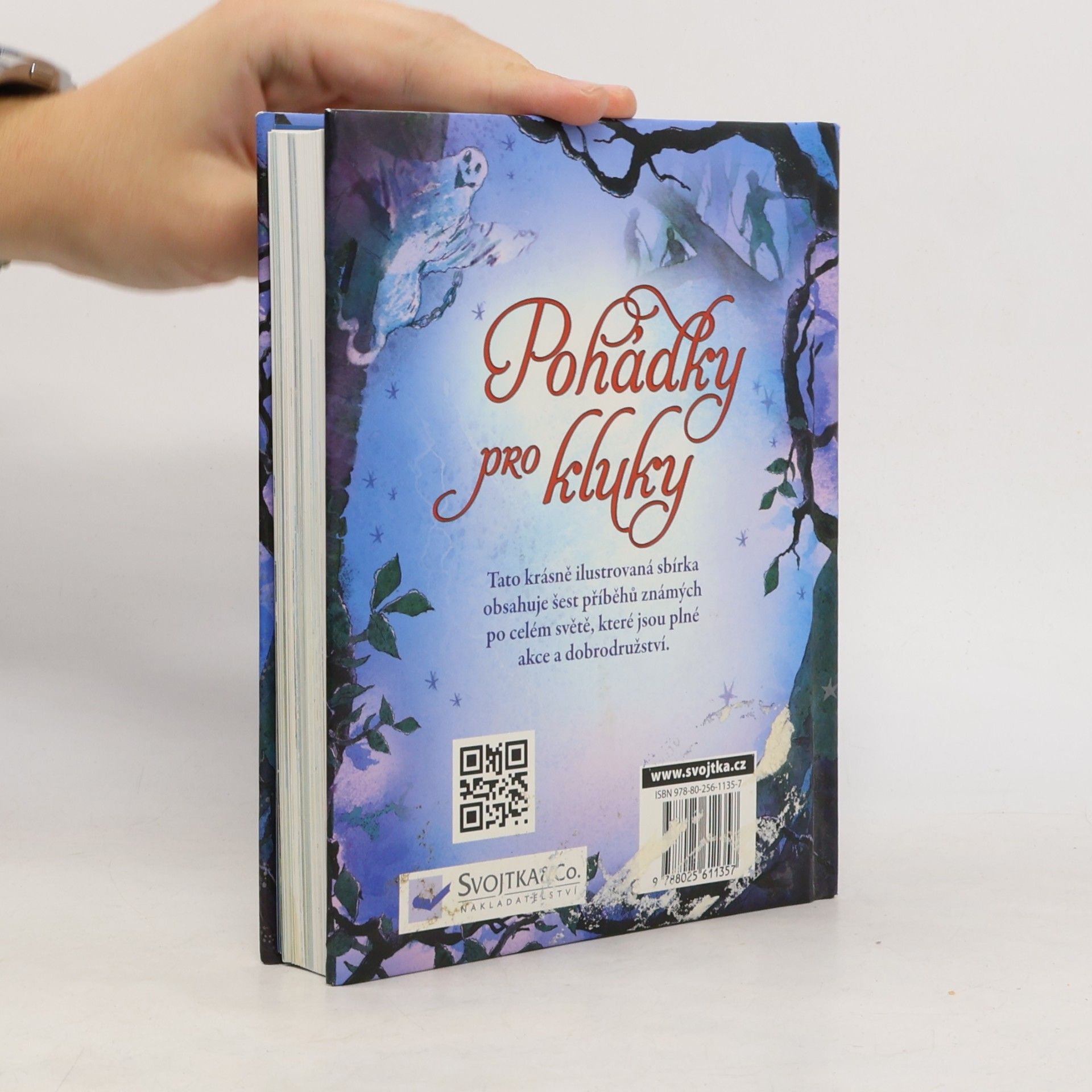 Collectif d'auteurs Pohádky pro kluky