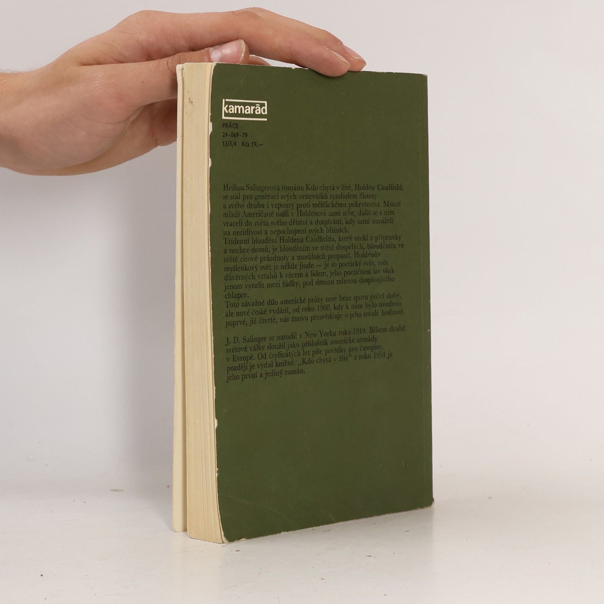 J. D. Salinger Kdo chytá v žitě