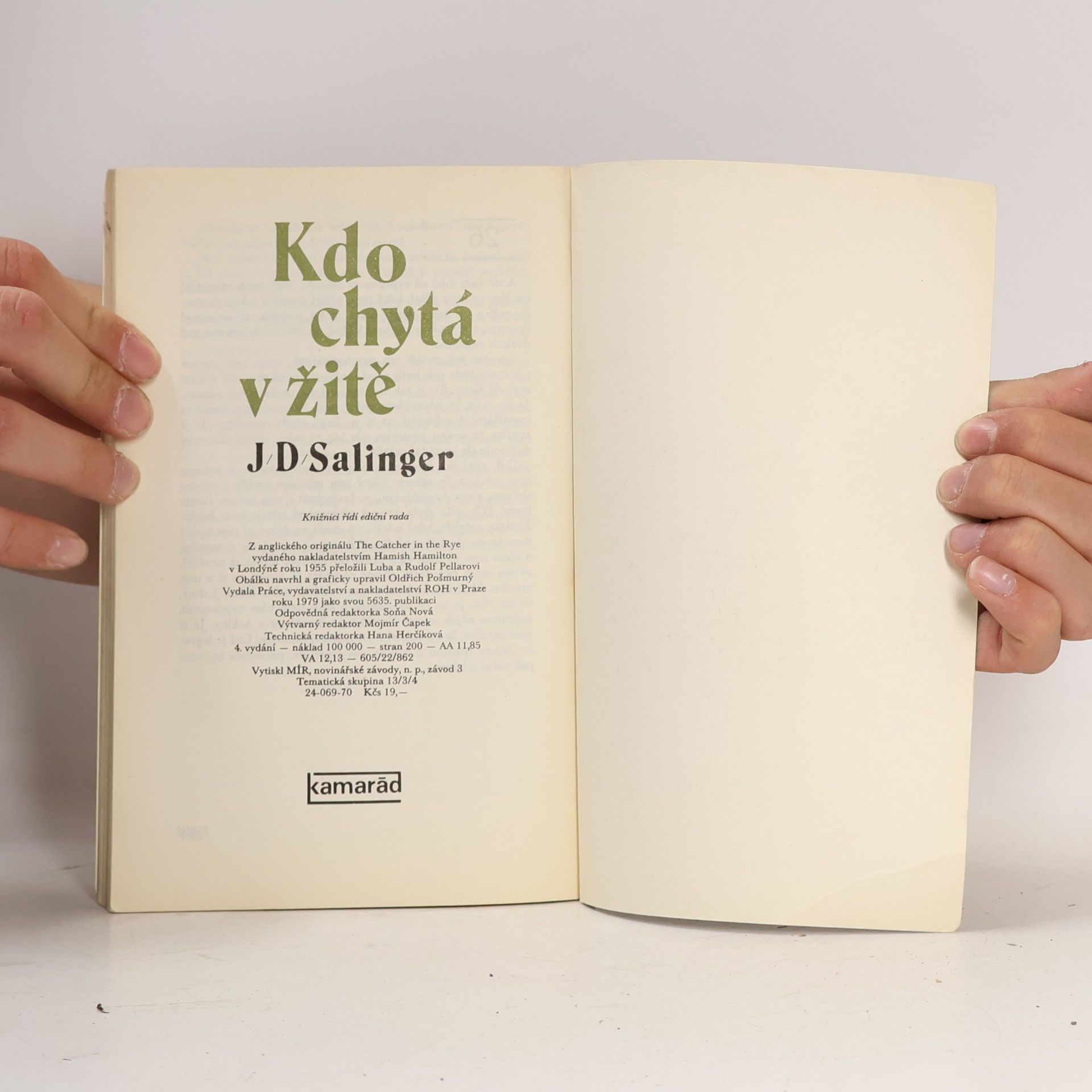 J. D. Salinger Kdo chytá v žitě
