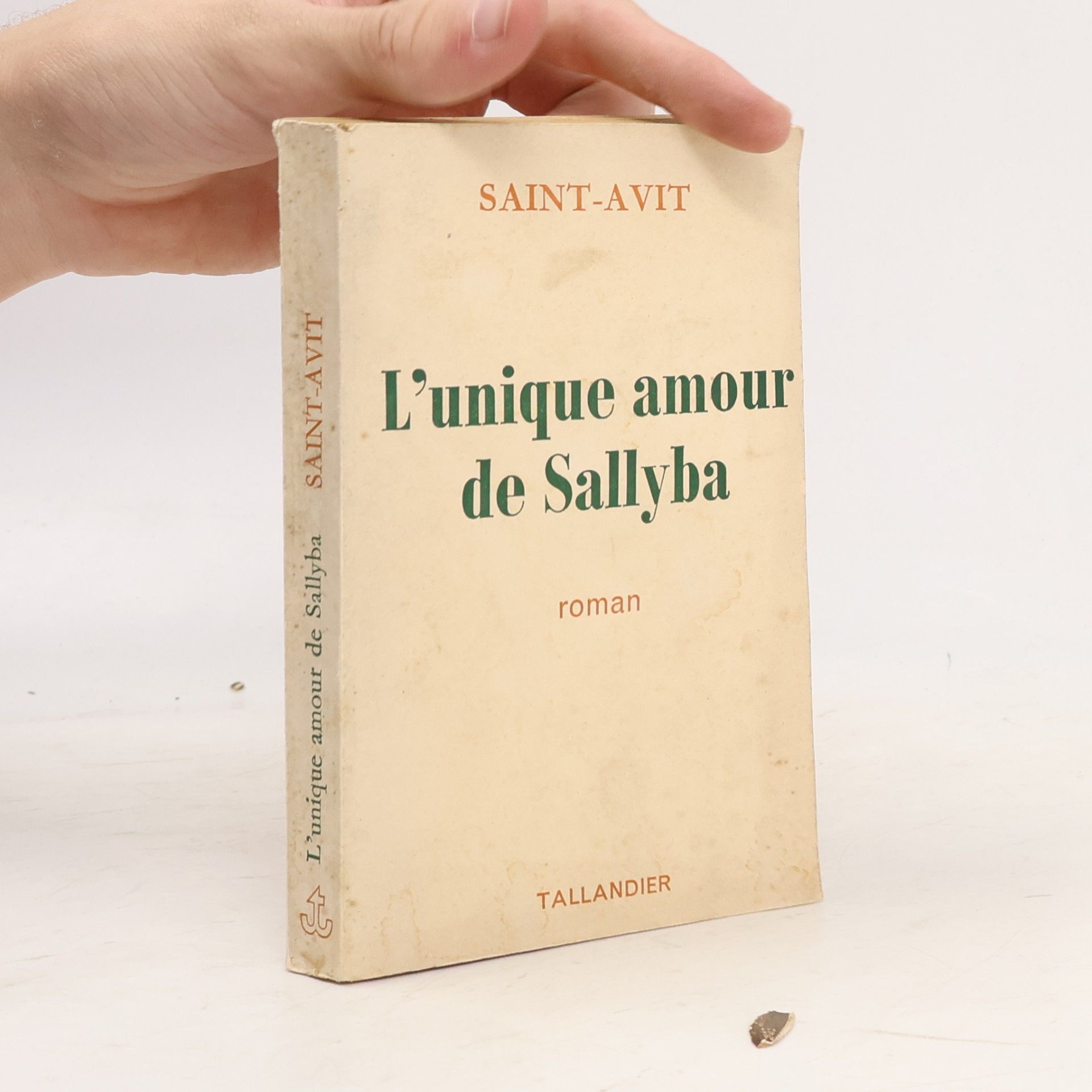 L'unique amour de Sallyba