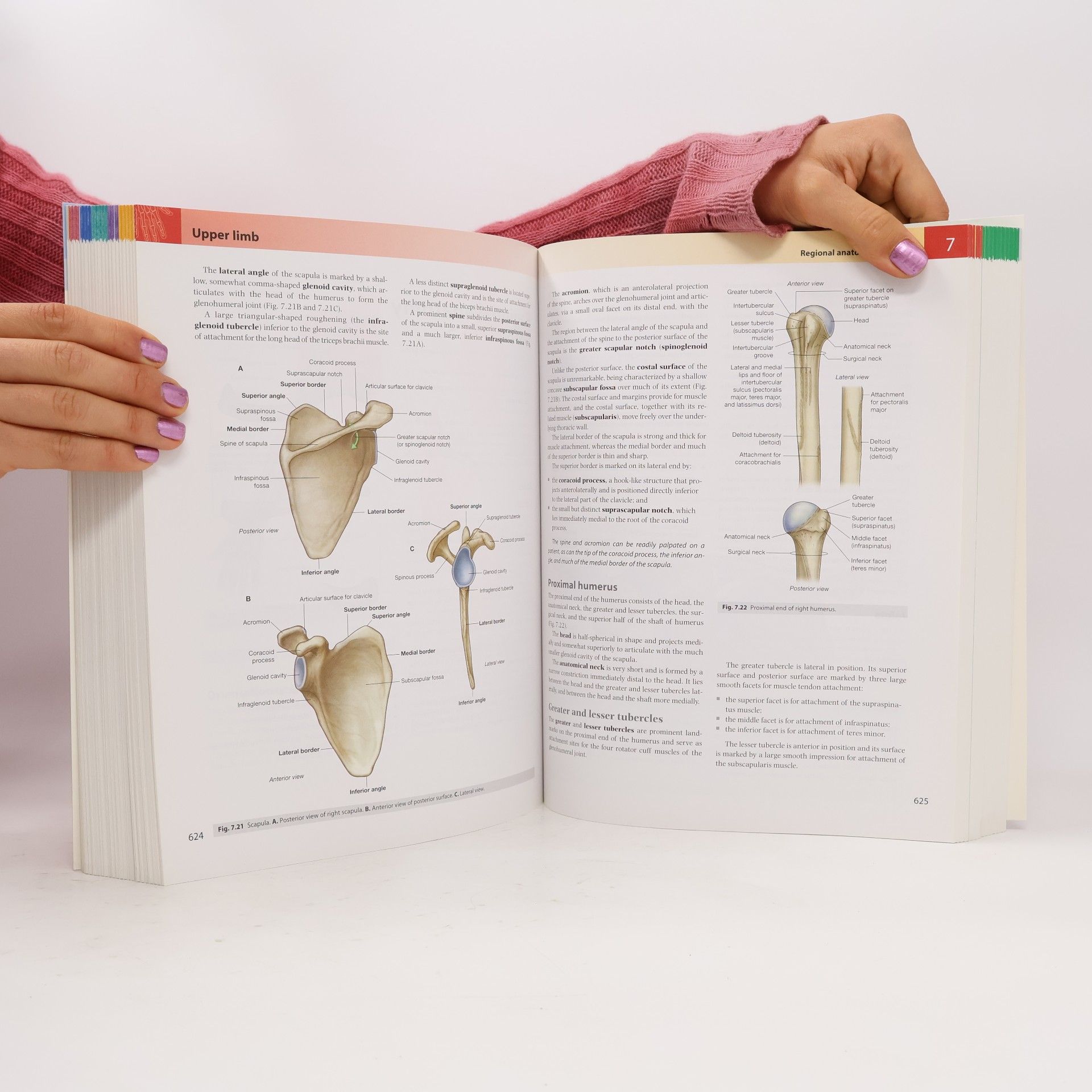 Adam W. M. Mitchell Gray's anatomy for students