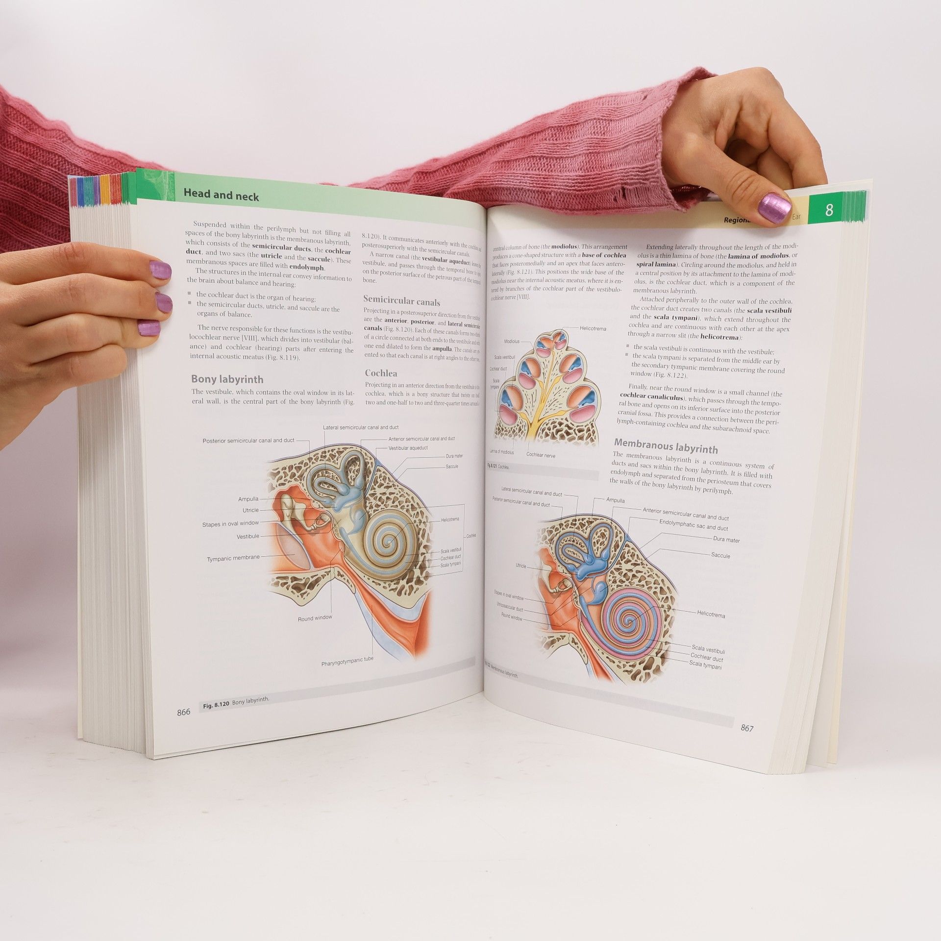 Adam W. M. Mitchell Gray's anatomy for students