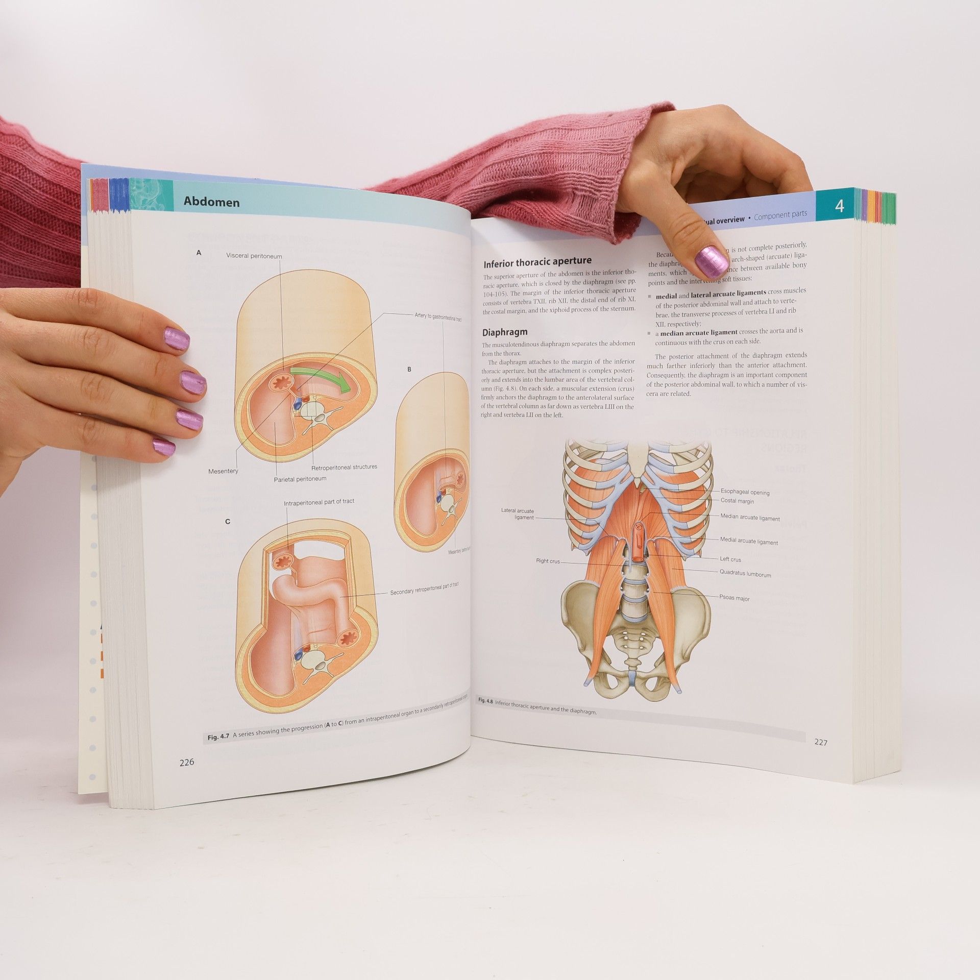Adam W. M. Mitchell Gray's anatomy for students