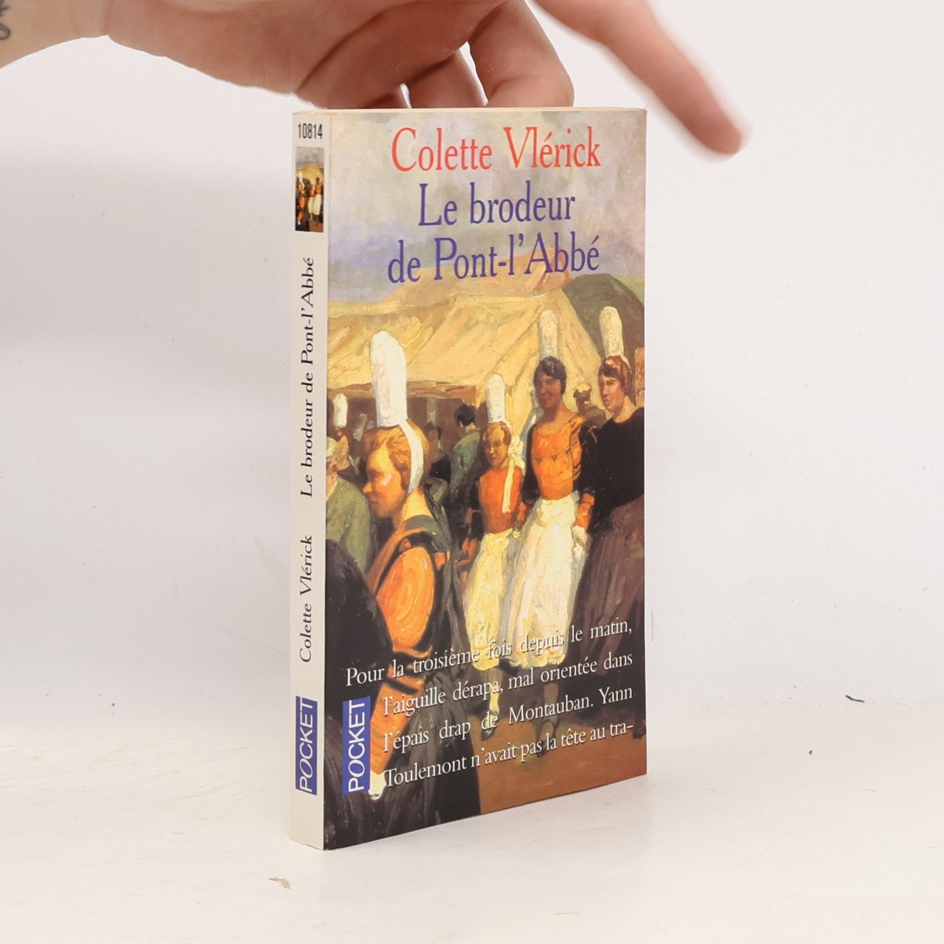 Pocket: Le brodeur de Pont-l'Abbé