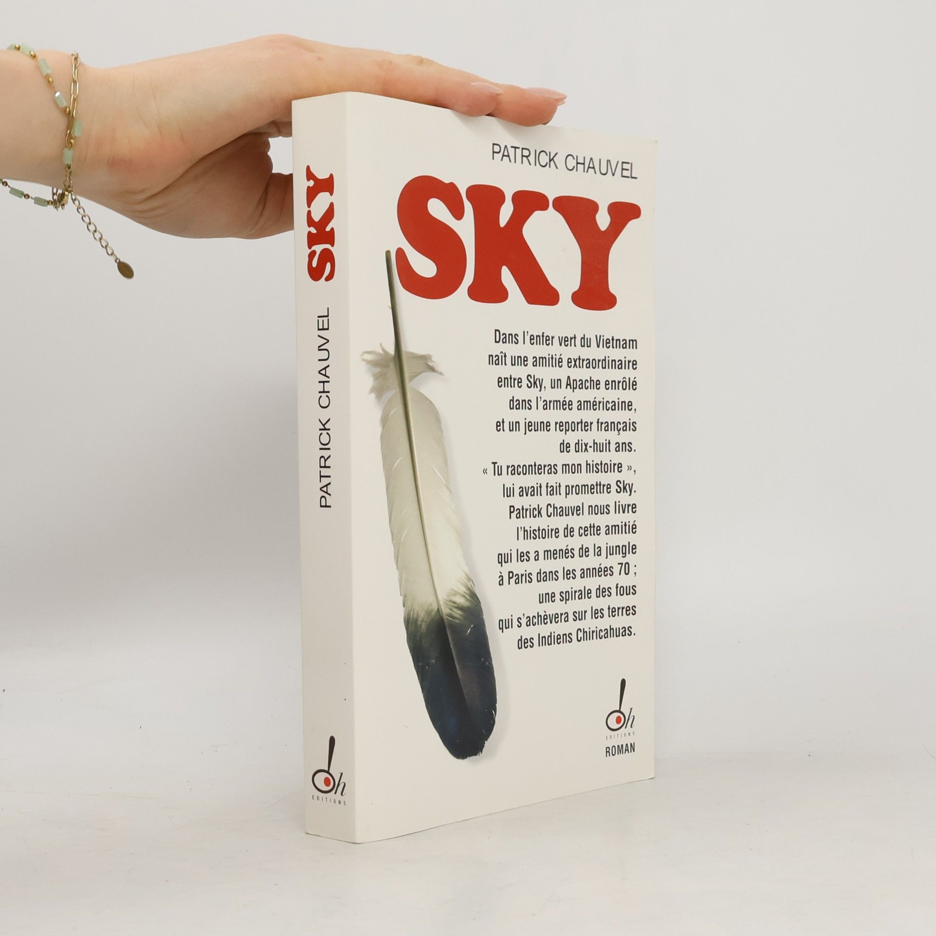 Patrick Chauvel Sky