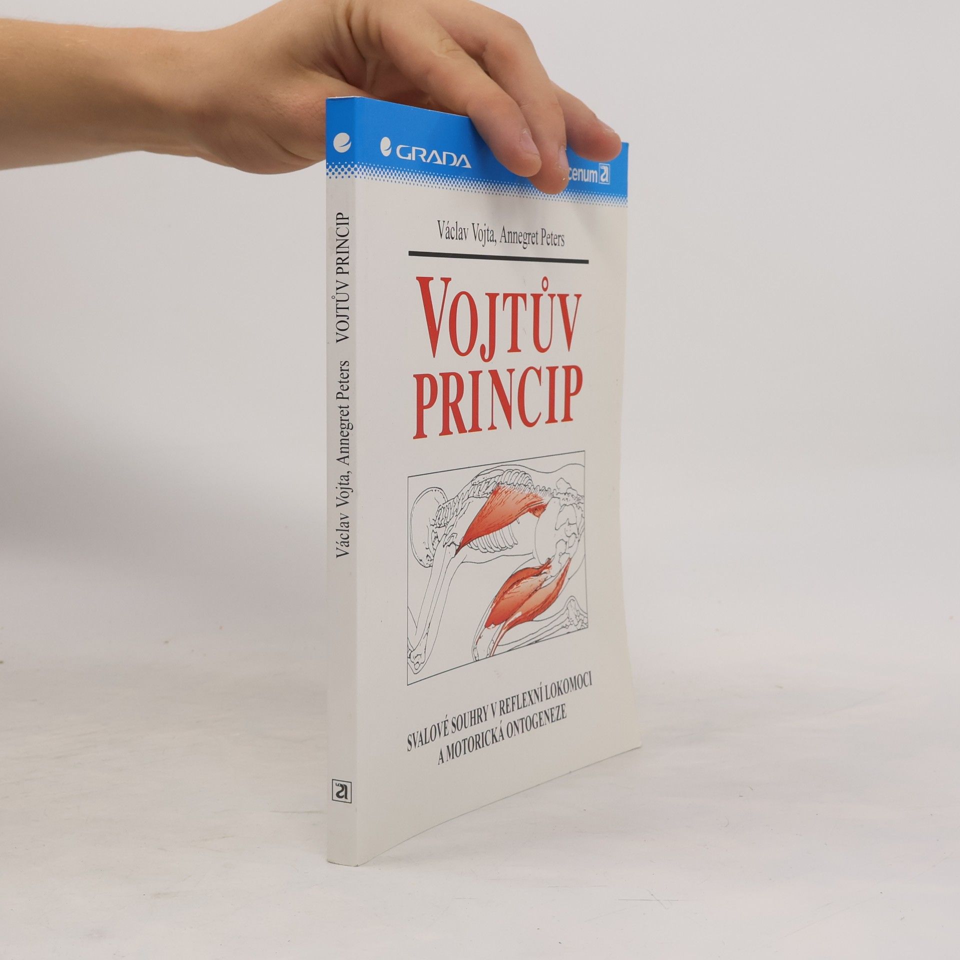 Annegret Peters Vojtův princip