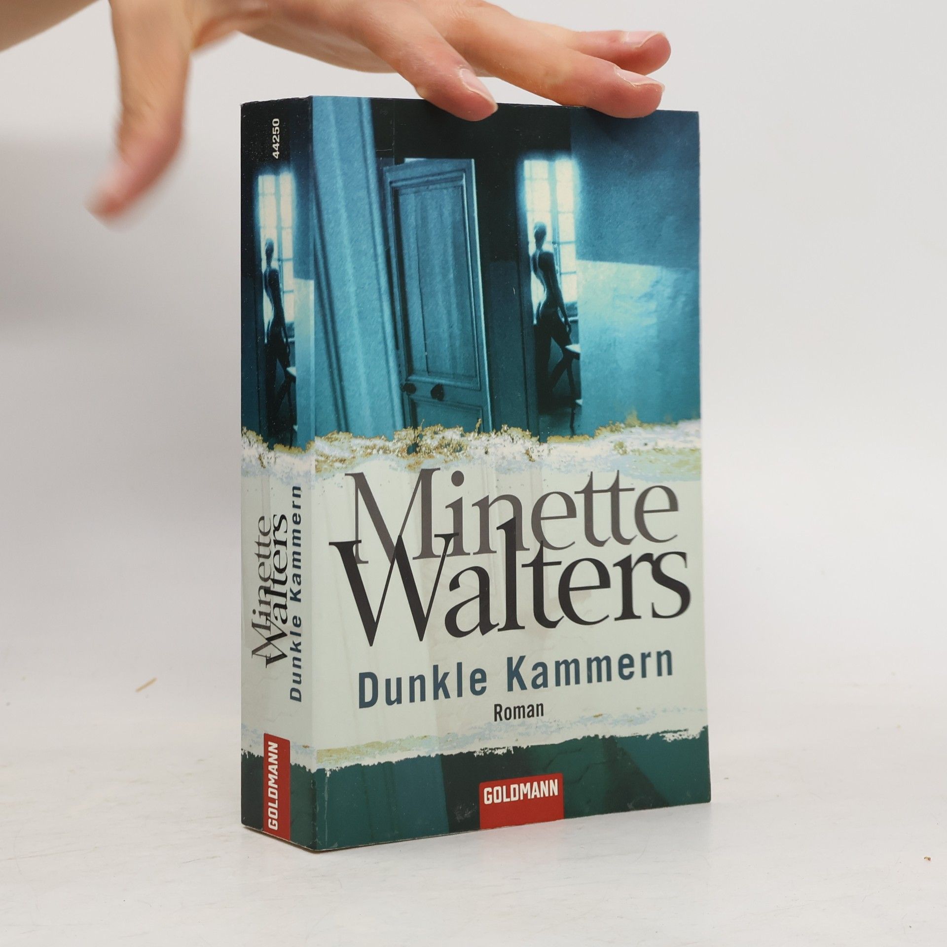 Minette Walters Dunkle Kammern